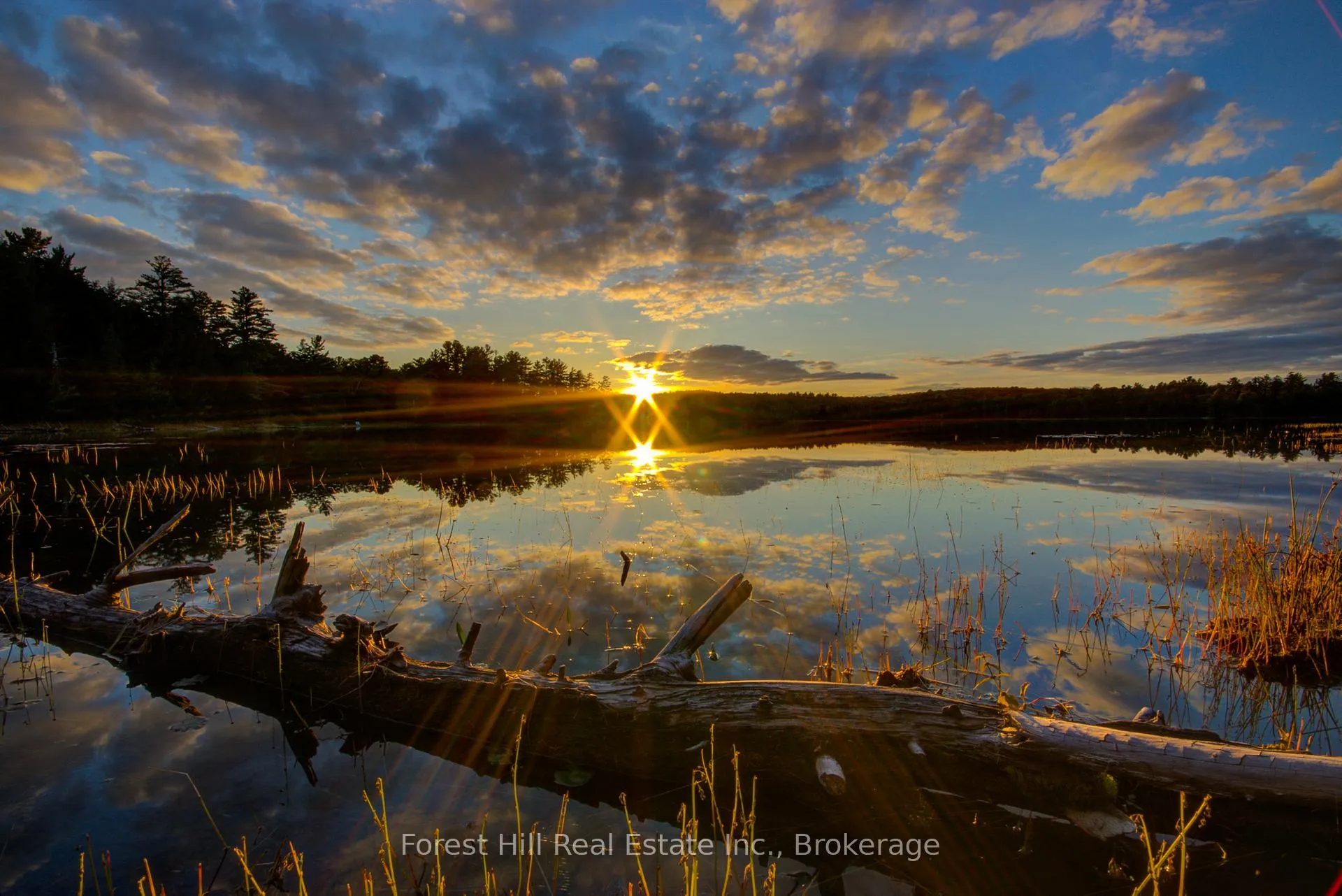 Photo 16 of 1130 Chetwynd Road, Armour — HOMEH