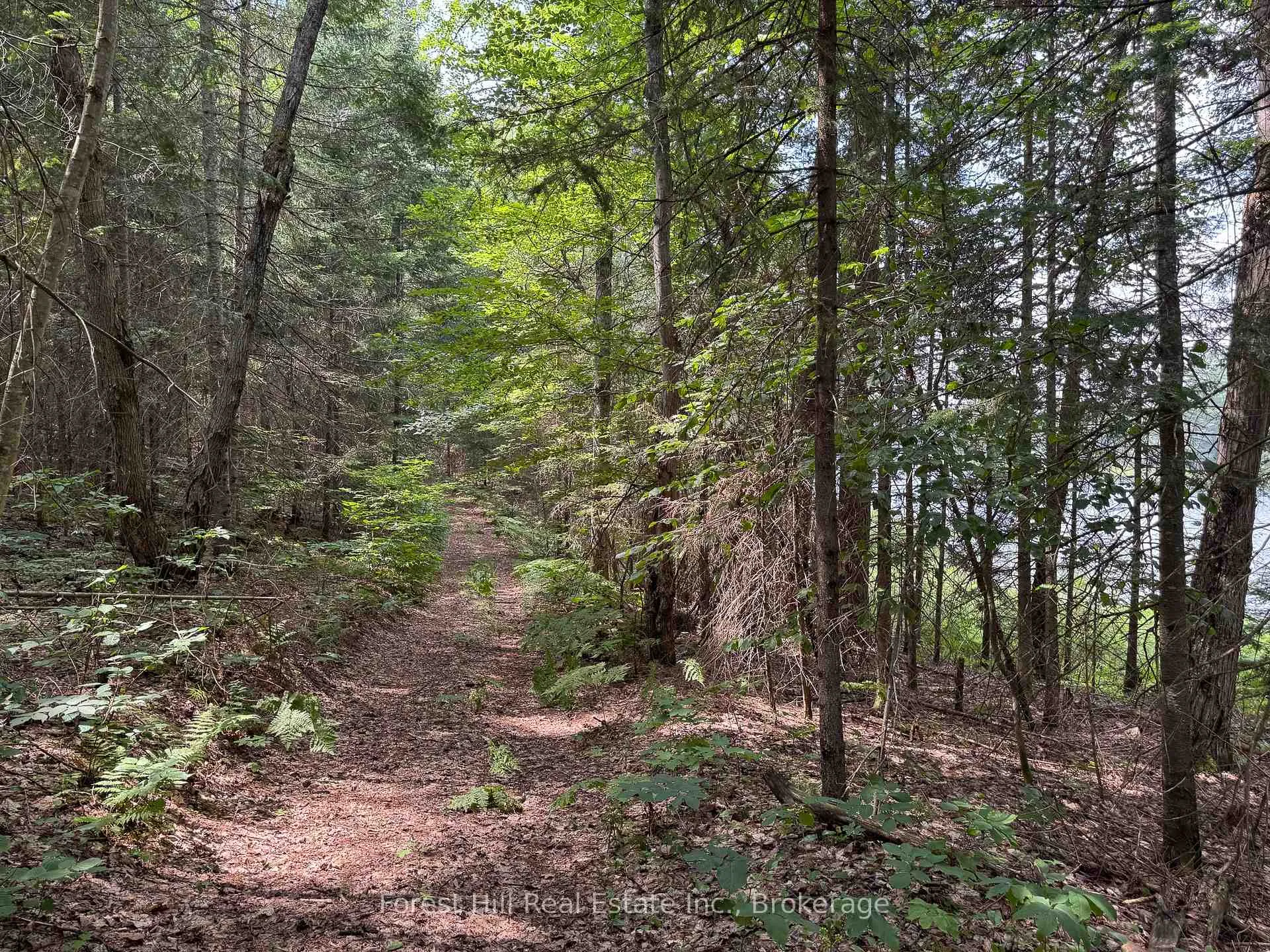 Photo 17 of 1130 Chetwynd Road, Armour — HOMEH