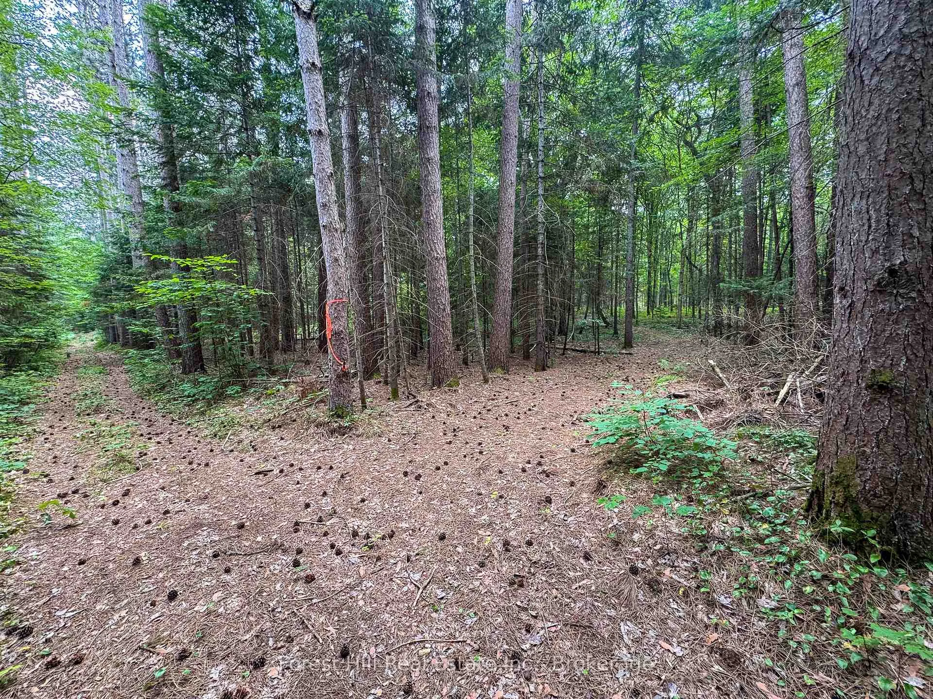 Photo 21 of 1130 Chetwynd Road, Armour — HOMEH