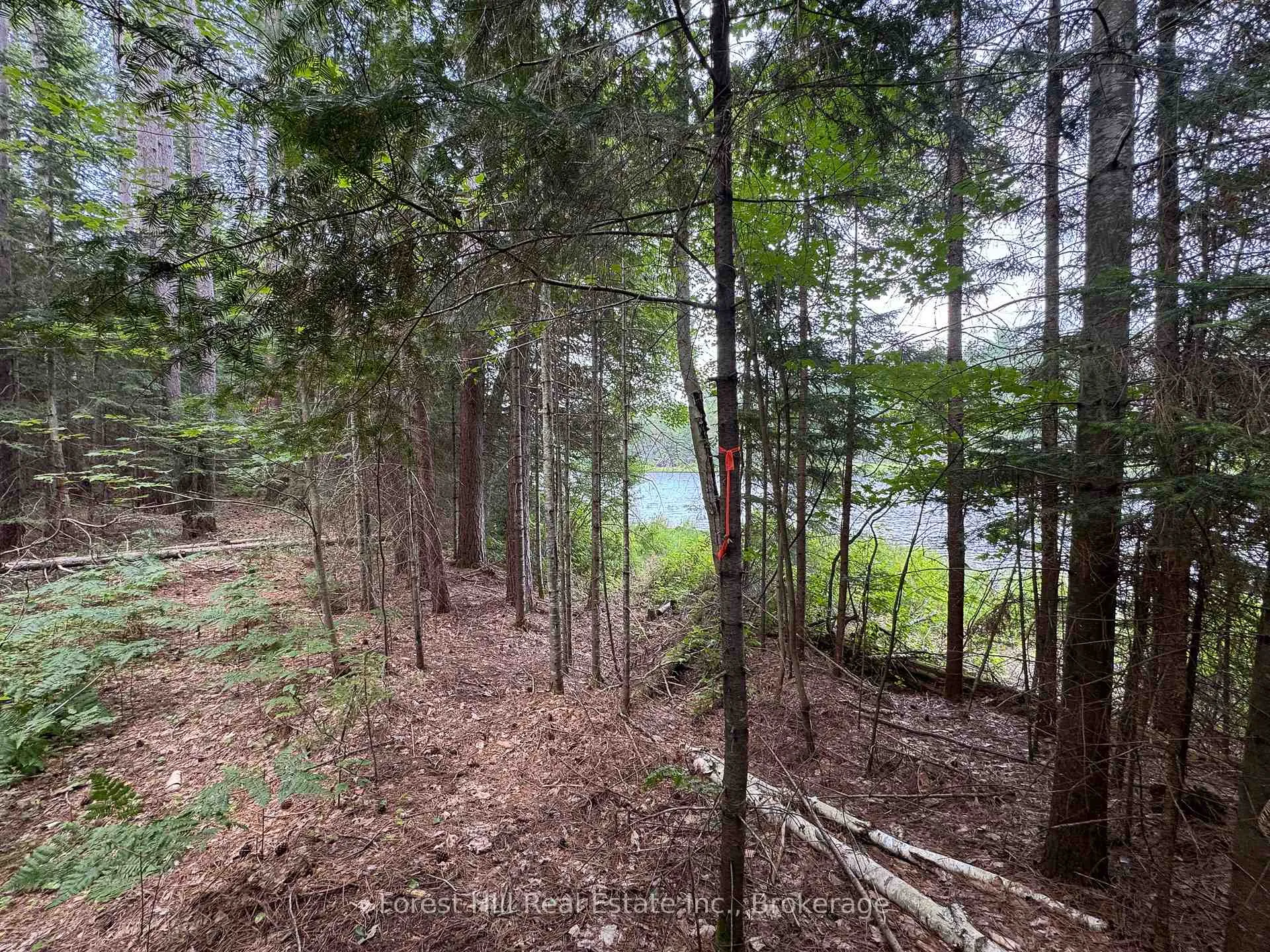 Photo 22 of 1130 Chetwynd Road, Armour — HOMEH