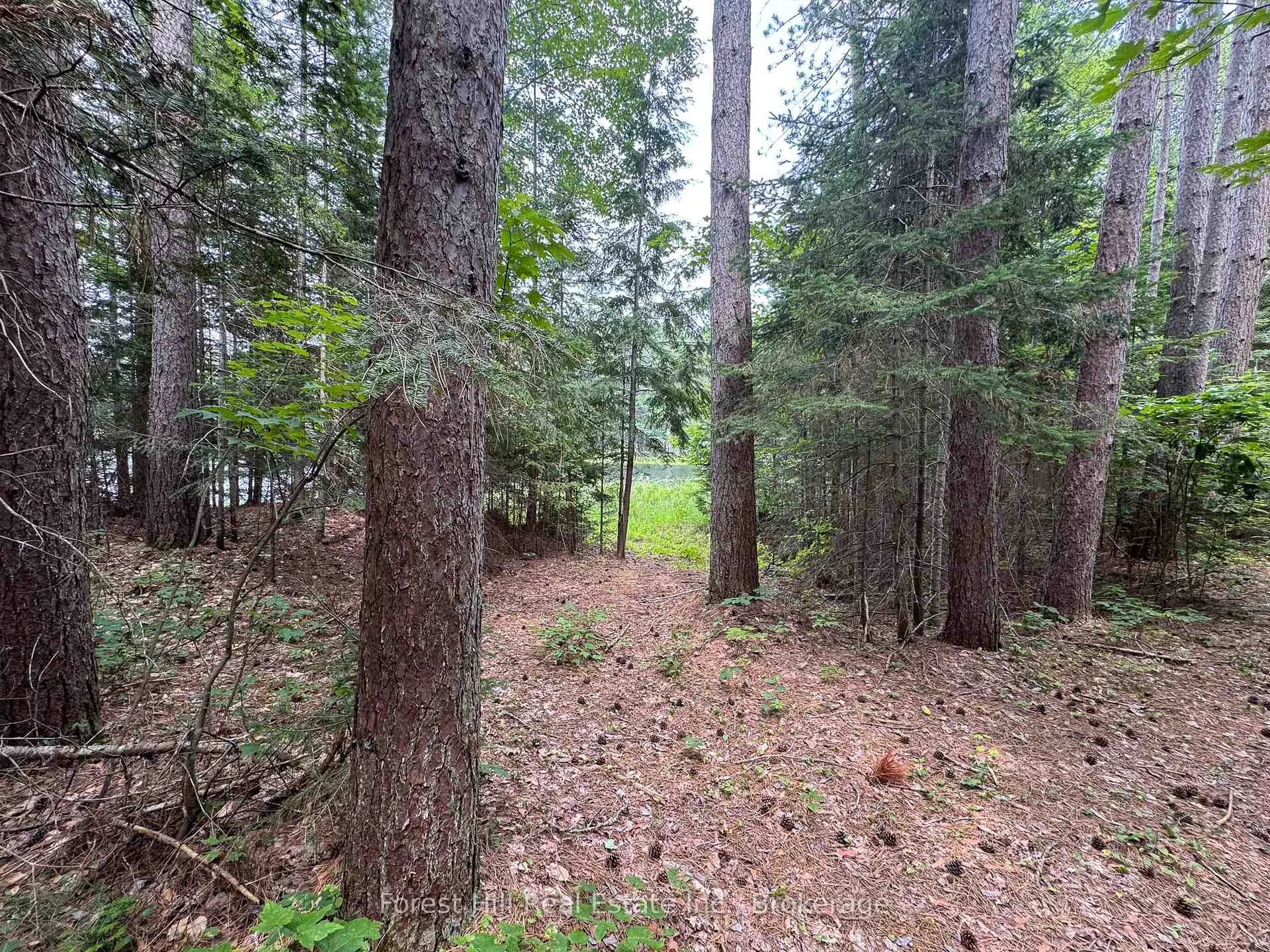 Photo 26 of 1130 Chetwynd Road, Armour — HOMEH