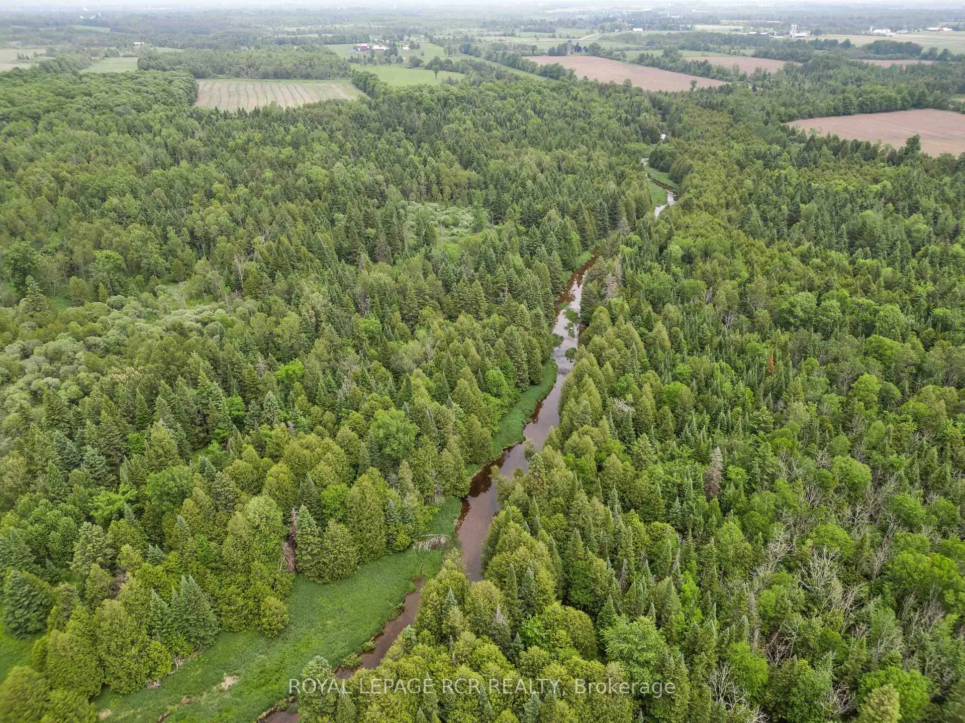 Photo 44 of 773367 10 Highway, Grey Highlands — HOMEH