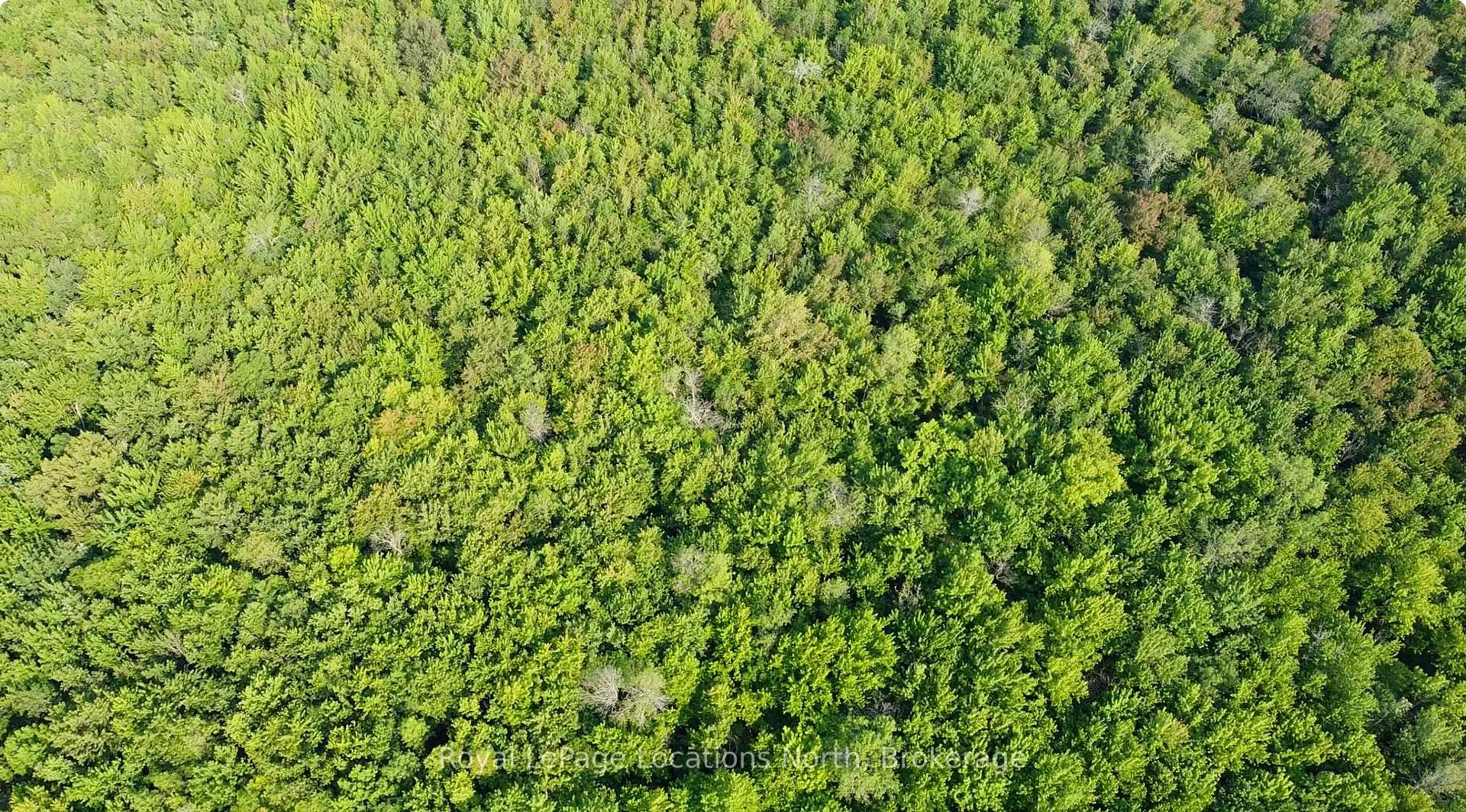 Photo 5 of Lot 5 26 Highway, Meaford — HOMEH
