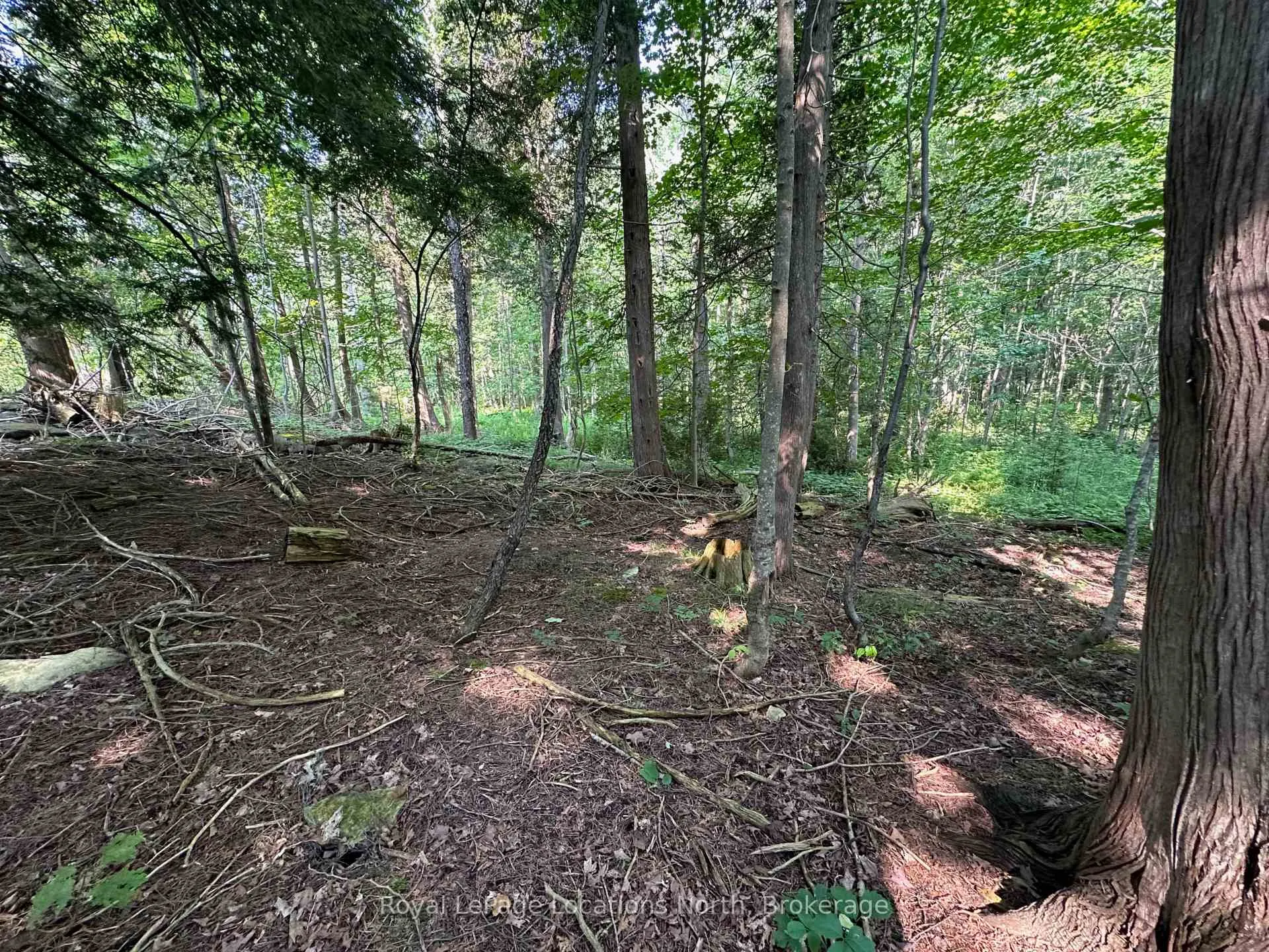 Photo 9 of Lot 5 26 Highway, Meaford — HOMEH