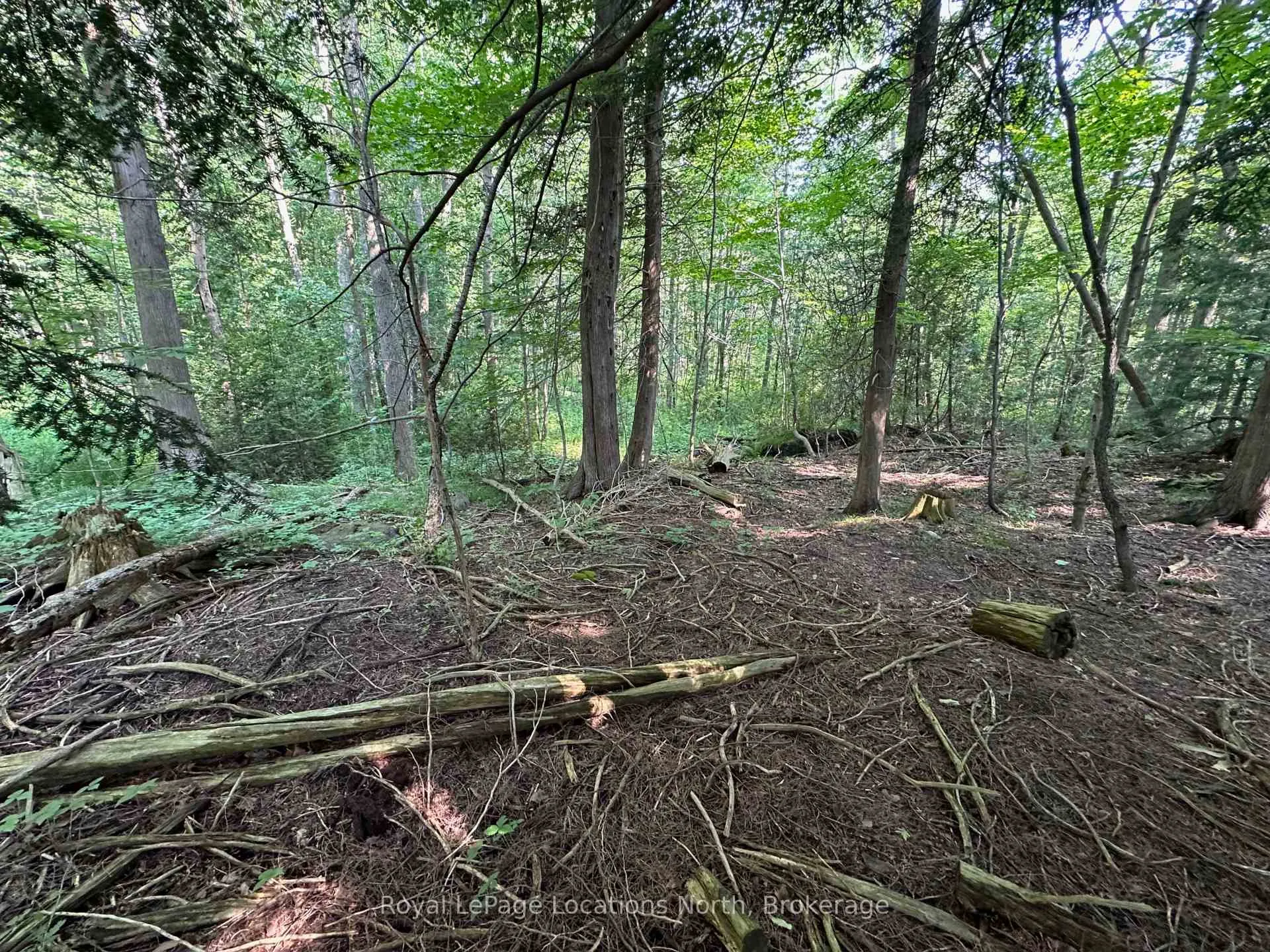Photo 10 of Lot 5 26 Highway, Meaford — HOMEH