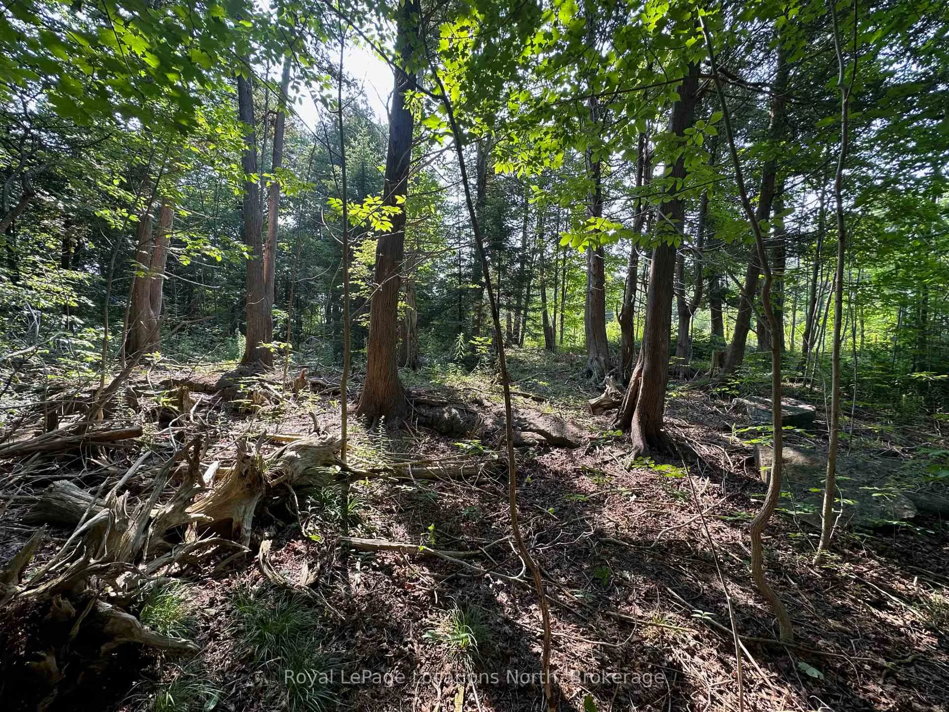 Photo 11 of Lot 5 26 Highway, Meaford — HOMEH