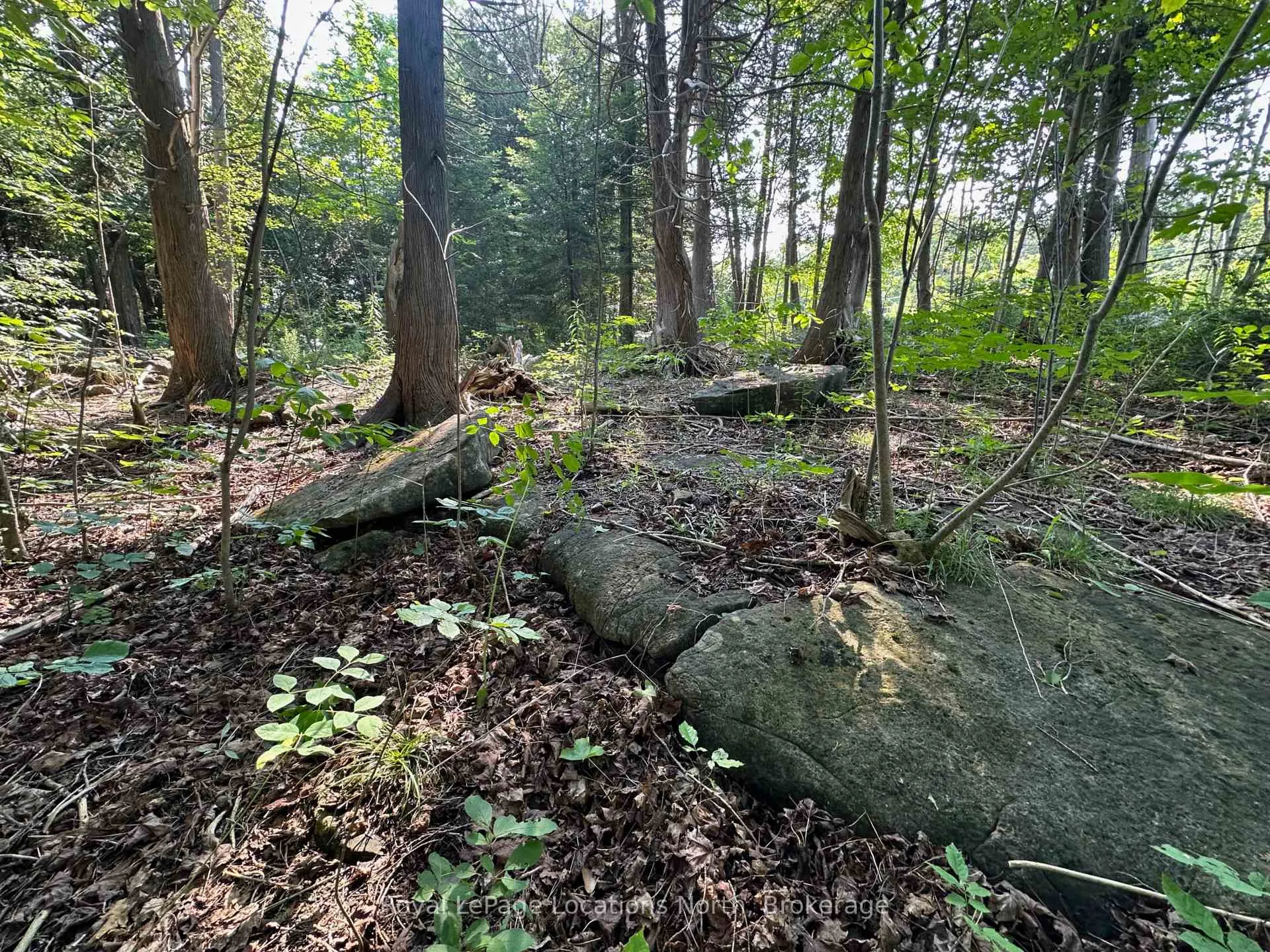 Photo 12 of Lot 5 26 Highway, Meaford — HOMEH