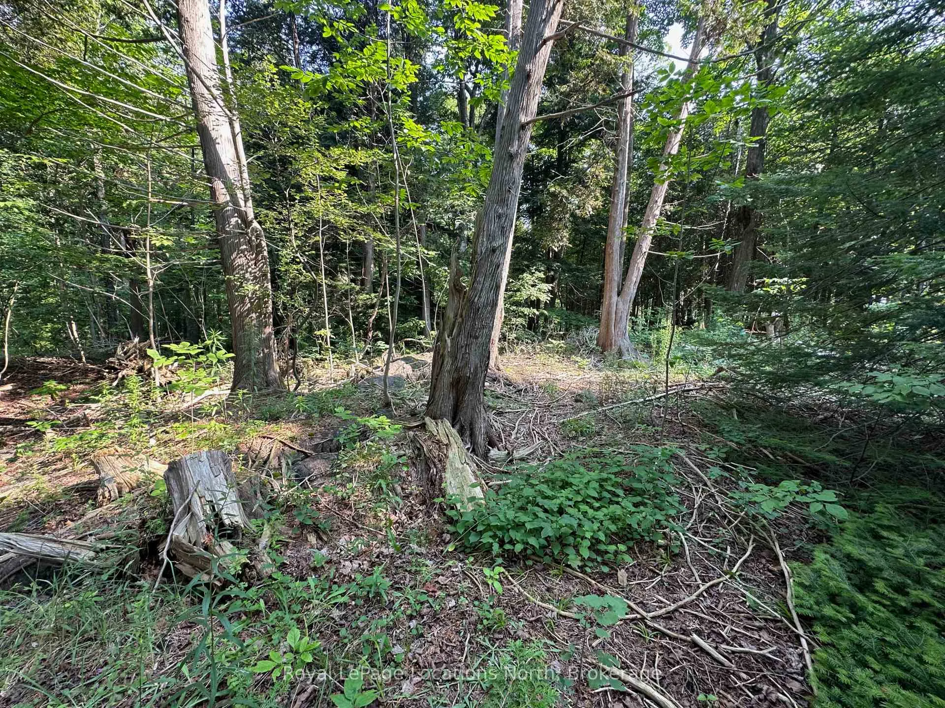 Photo 13 of Lot 5 26 Highway, Meaford — HOMEH