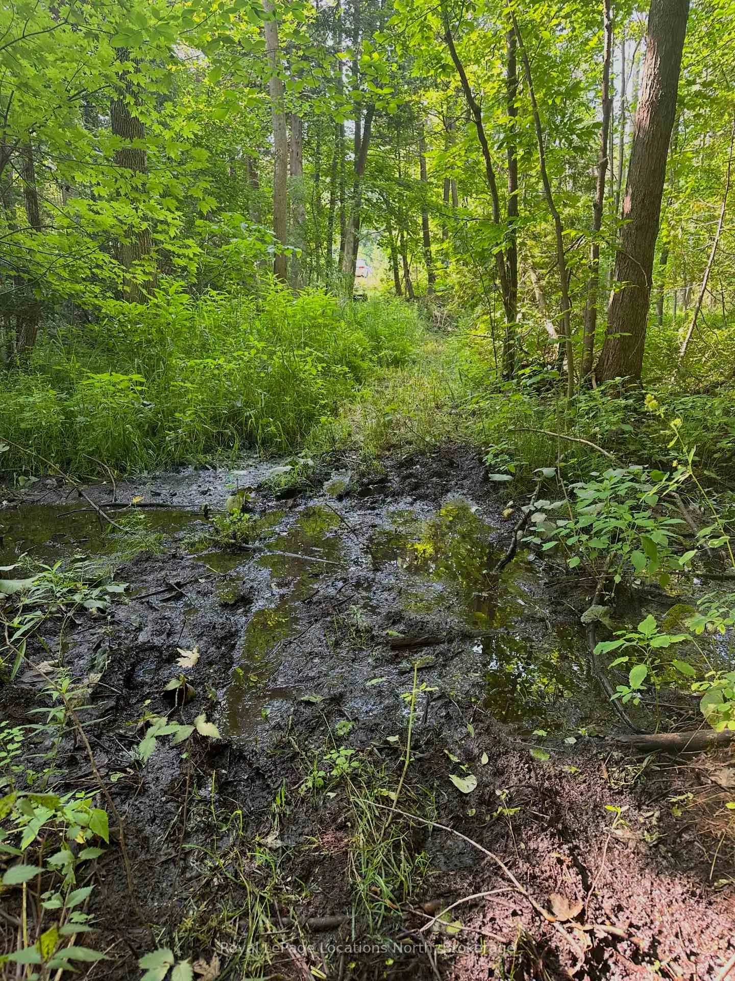 Photo 14 of Lot 5 26 Highway, Meaford — HOMEH