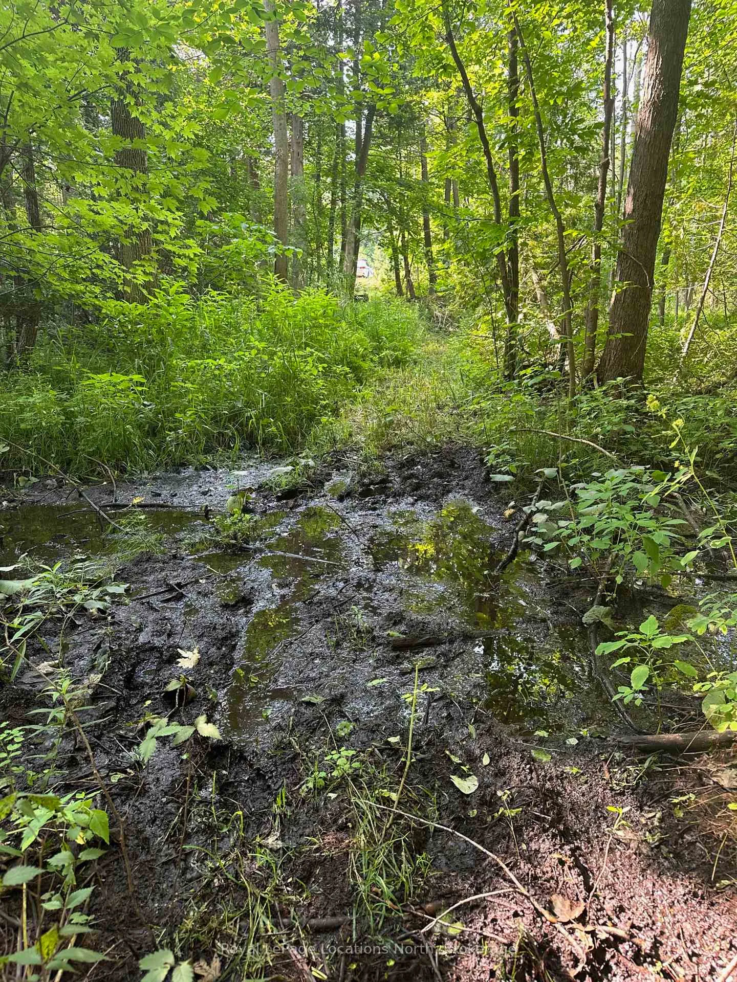Photo 15 of Lot 5 26 Highway, Meaford — HOMEH