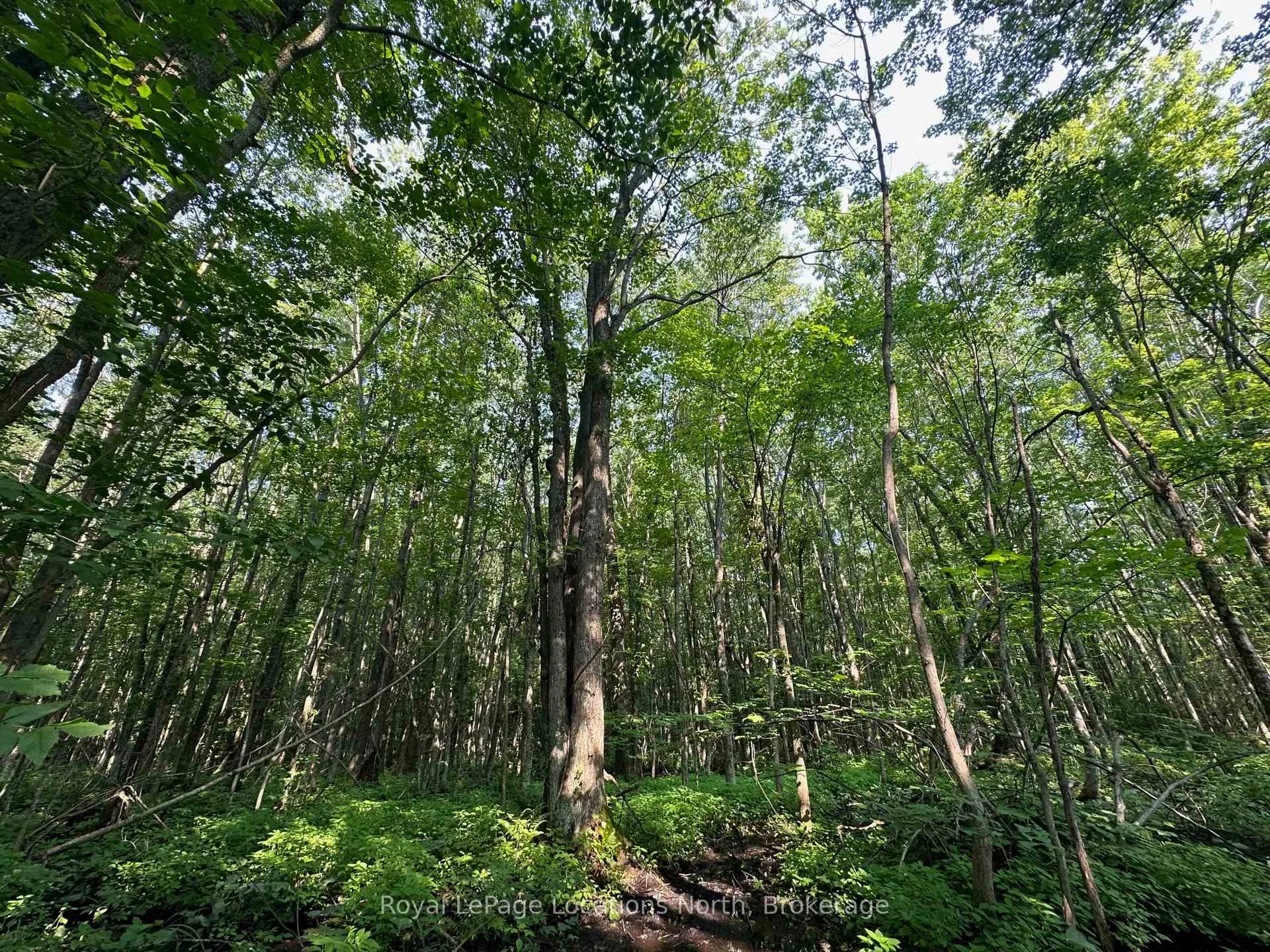 Photo 16 of Lot 5 26 Highway, Meaford — HOMEH