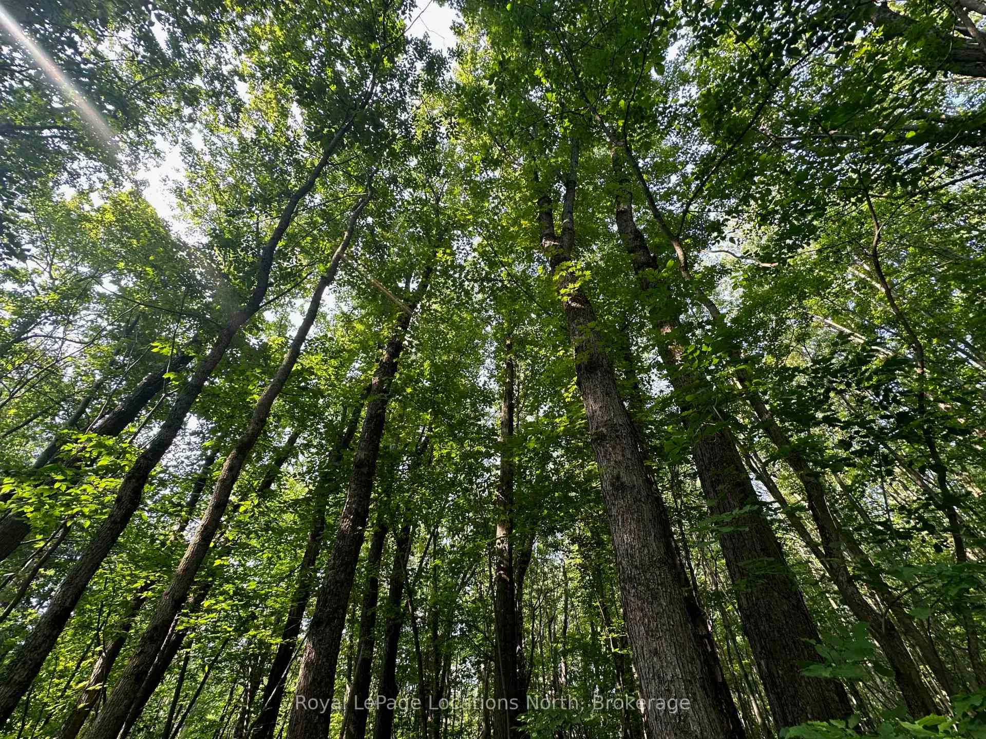 Photo 17 of Lot 5 26 Highway, Meaford — HOMEH