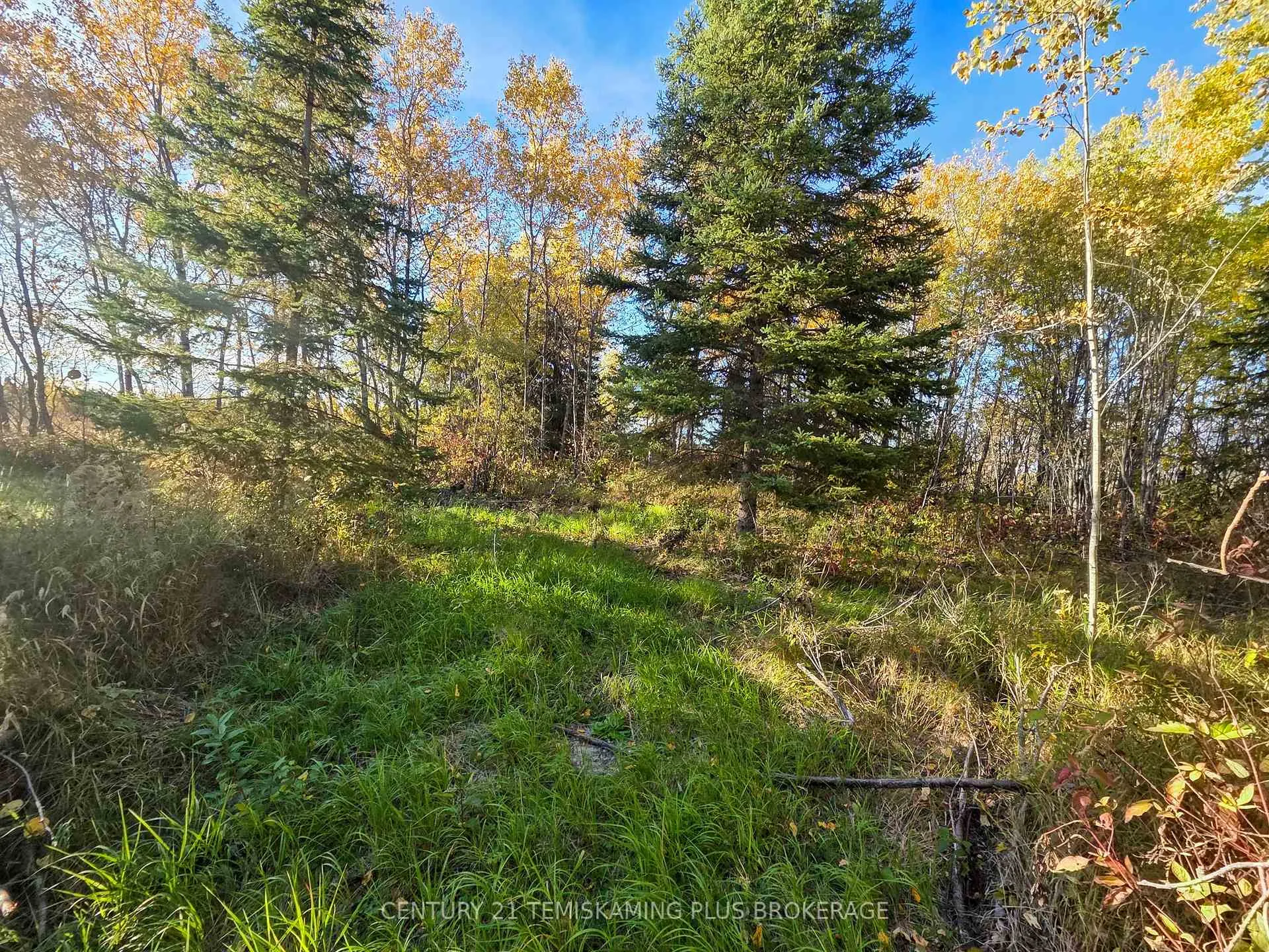 Photo 18 of PCL5224 Little Road, Englehart, Central Timiskaming — HOMEH