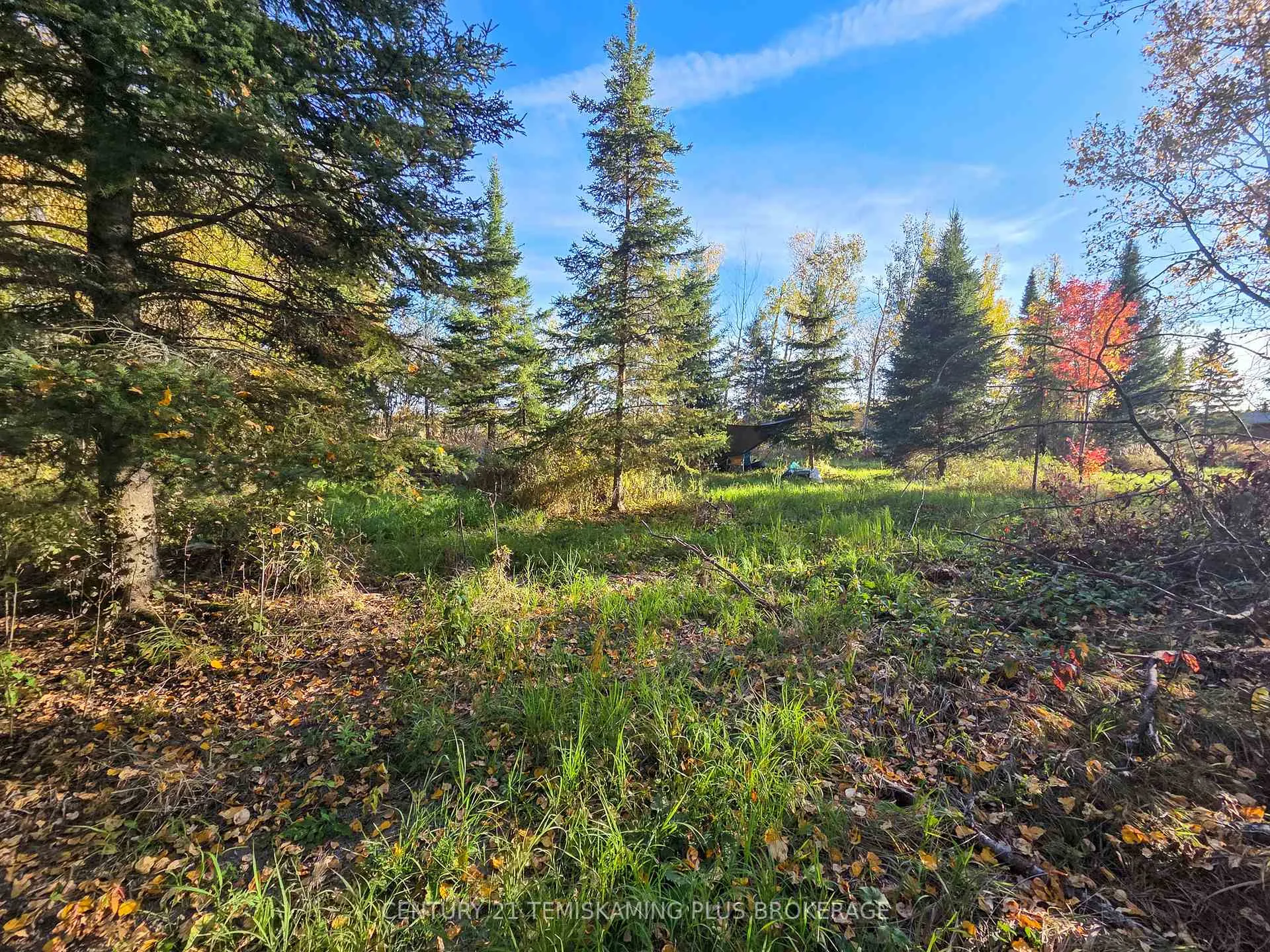 Photo 19 of PCL5224 Little Road, Englehart, Central Timiskaming — HOMEH