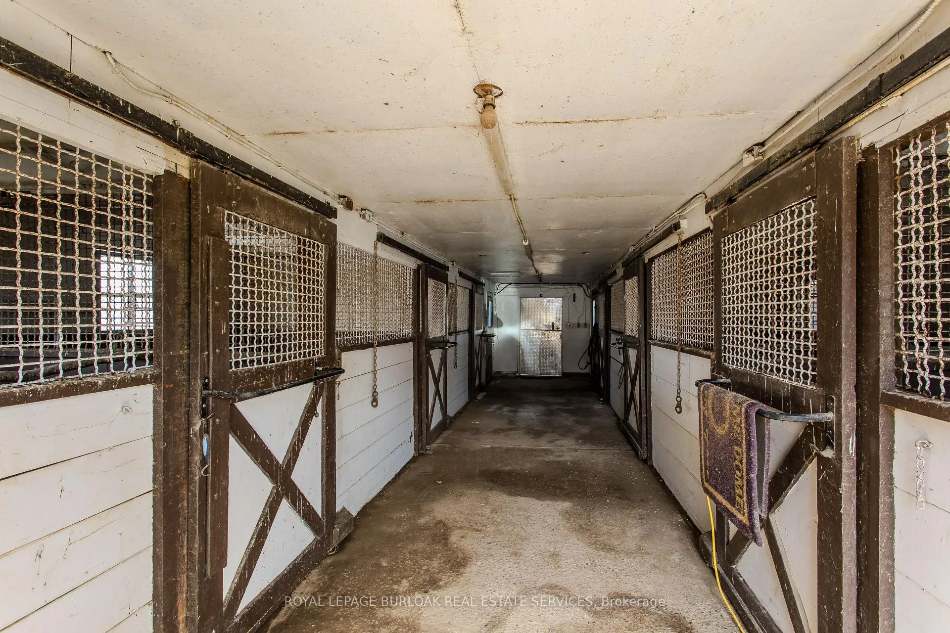 Photo 29 of 4375 Hall Road, Hamilton, Rural Glanbrook — HOMEH