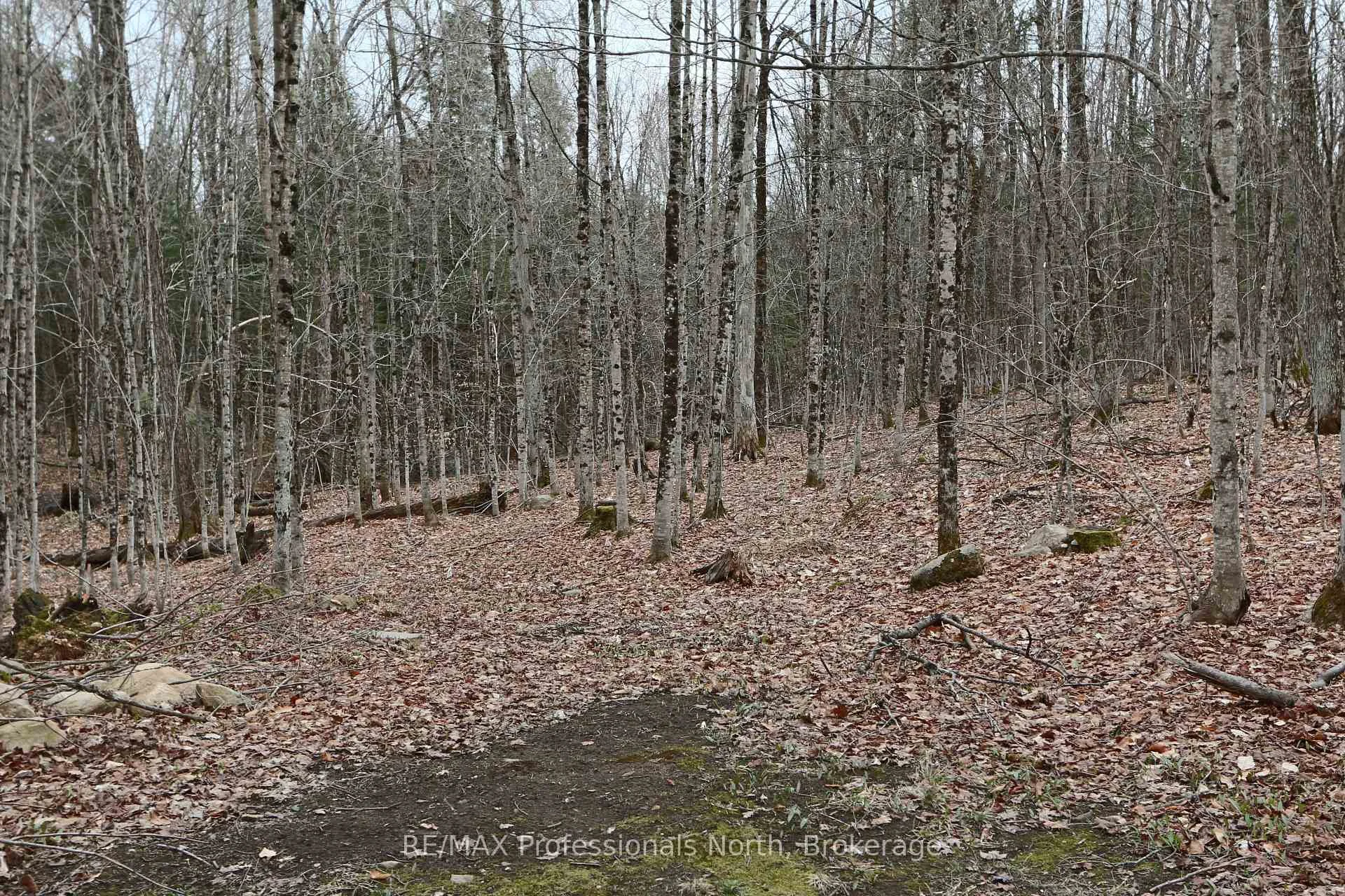 Photo 26 of 1874 Highway 118 E, Bracebridge, Draper — HOMEH