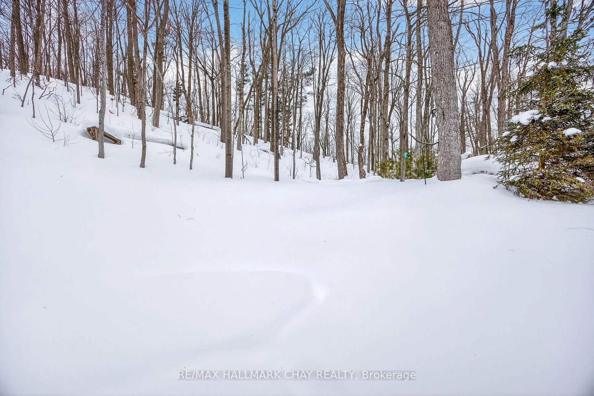 Photo 46 of 17 Pine Ridge Trail, Oro-Medonte, Horseshoe Valley — HOMEH
