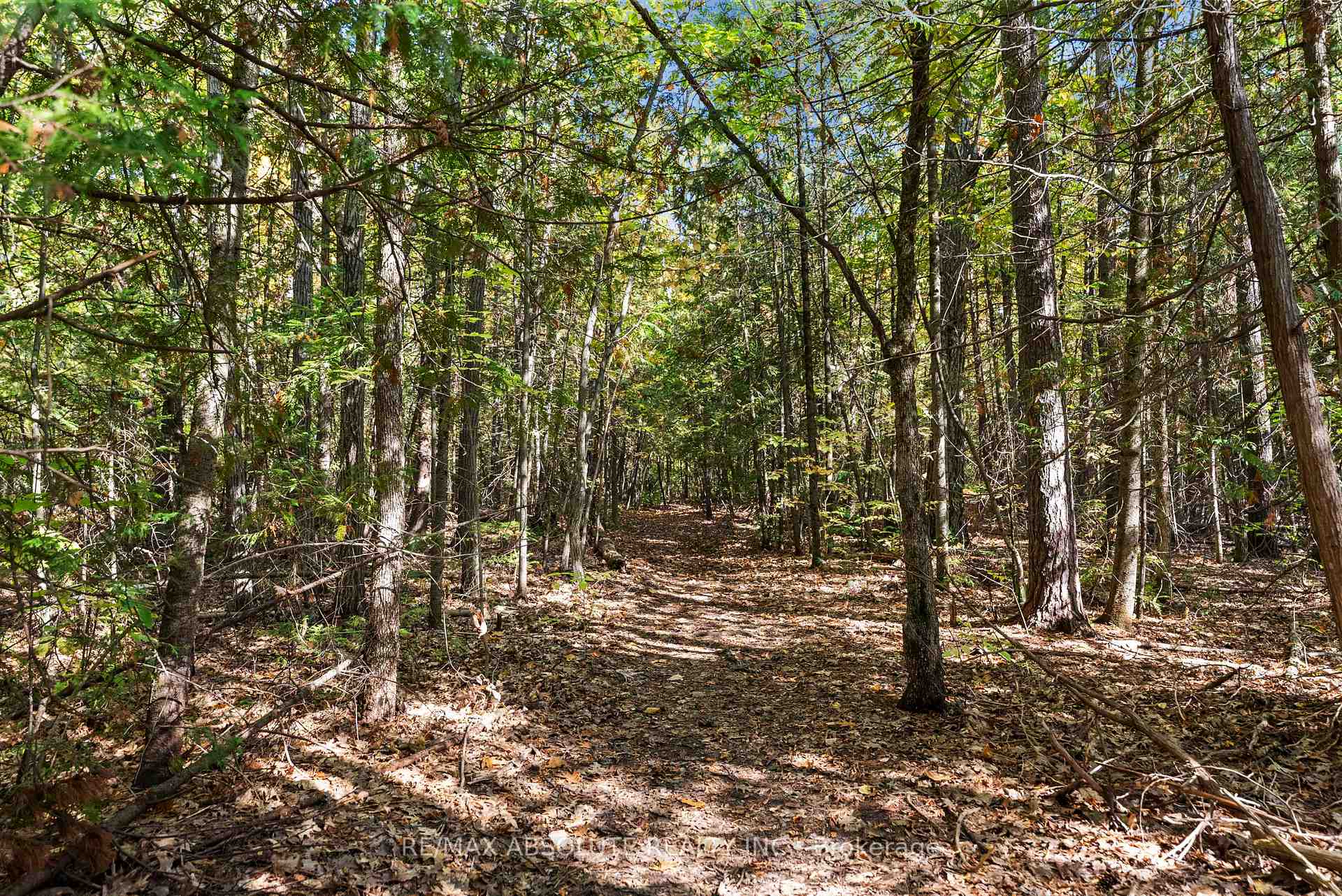 Photo 23 of 01 Braecrest Avenue, McNab/Braeside, Mcnab/Braeside Twps — HOMEH