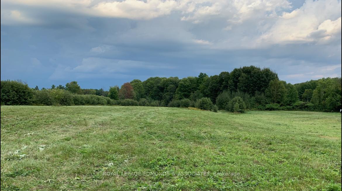 Photo 49 of 276 Jim Barr Road, Horton, Horton Twp — HOMEH