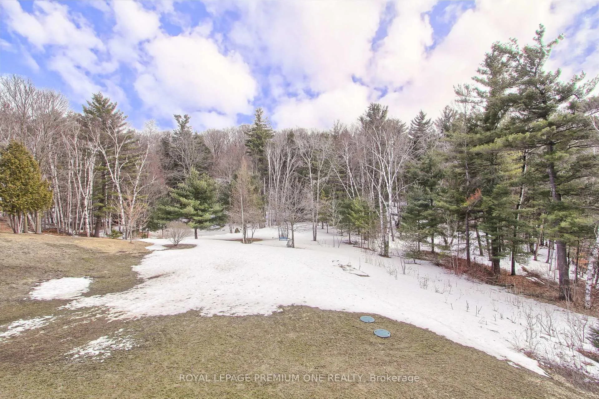 Photo 48 of 211 Pine Avenue, Caledon, Palgrave — HOMEH