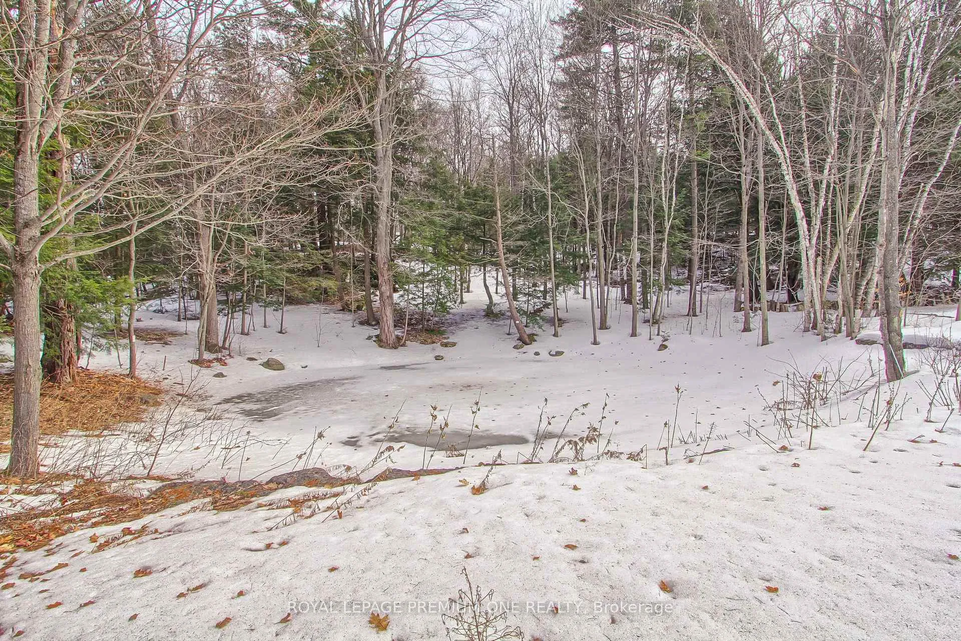 Photo 49 of 211 Pine Avenue, Caledon, Palgrave — HOMEH