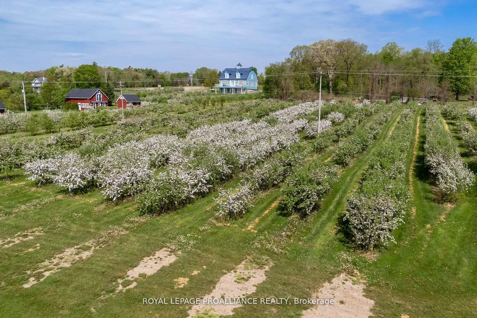 Photo 8 of 2965 County Road, Prince Edward County, North Marysburgh — HOMEH