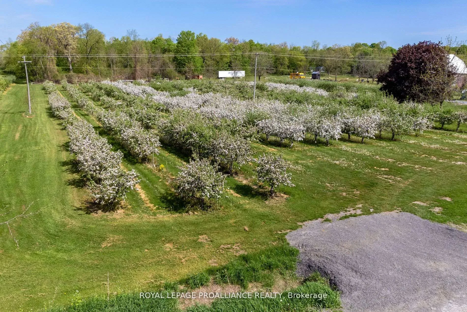 Photo 9 of 2965 County Road, Prince Edward County, North Marysburgh — HOMEH