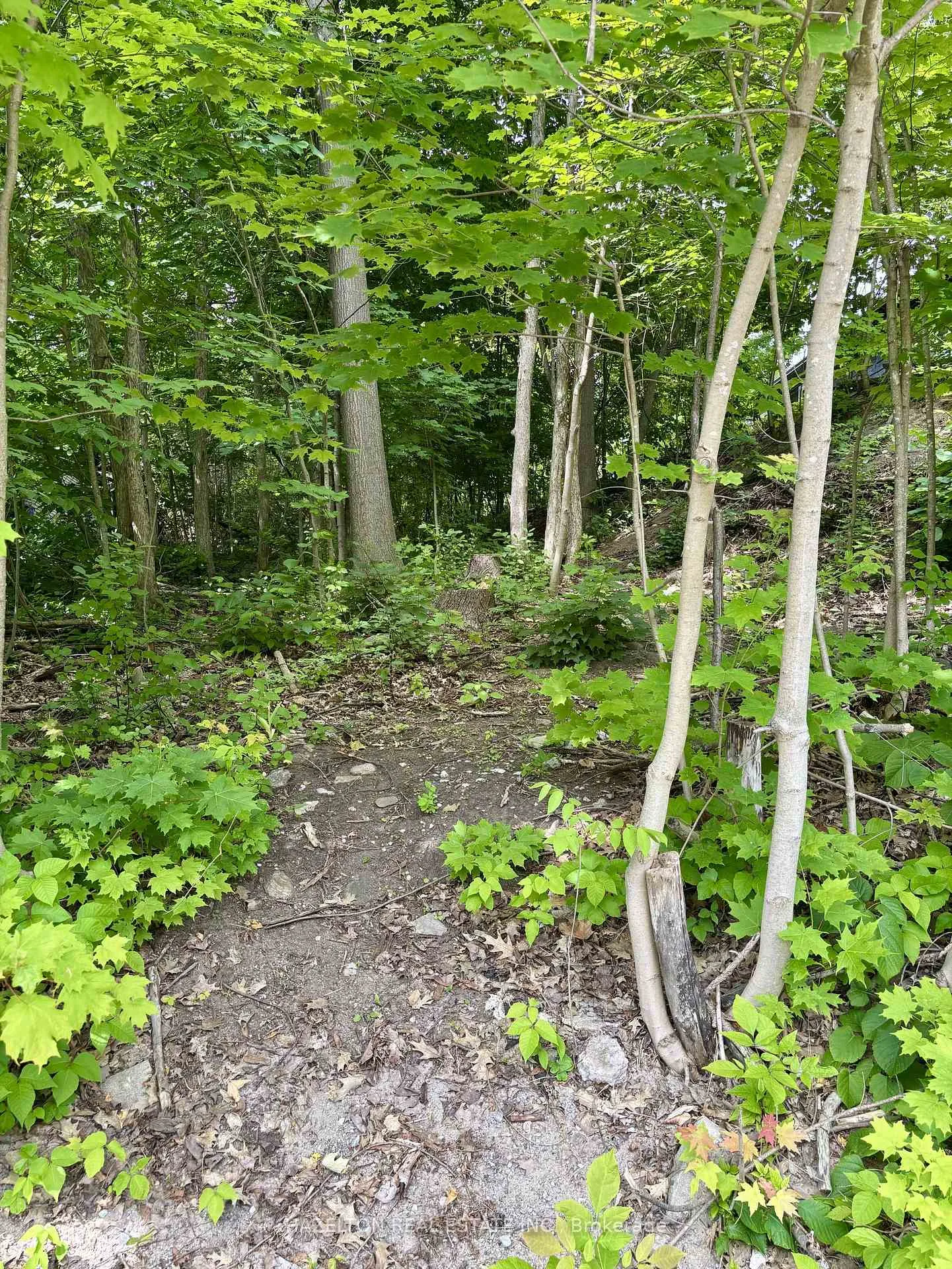 Photo 2 of 554 Barnes Avenue, Tay, Port McNicoll — HOMEH
