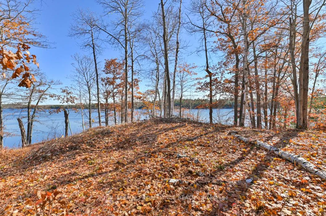 Photo 4 of Kennebec Lake Lane, Central Frontenac, Frontenac Centre — HOMEH