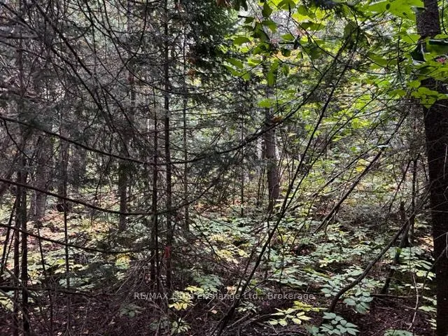 Photo of 4 Shore Road