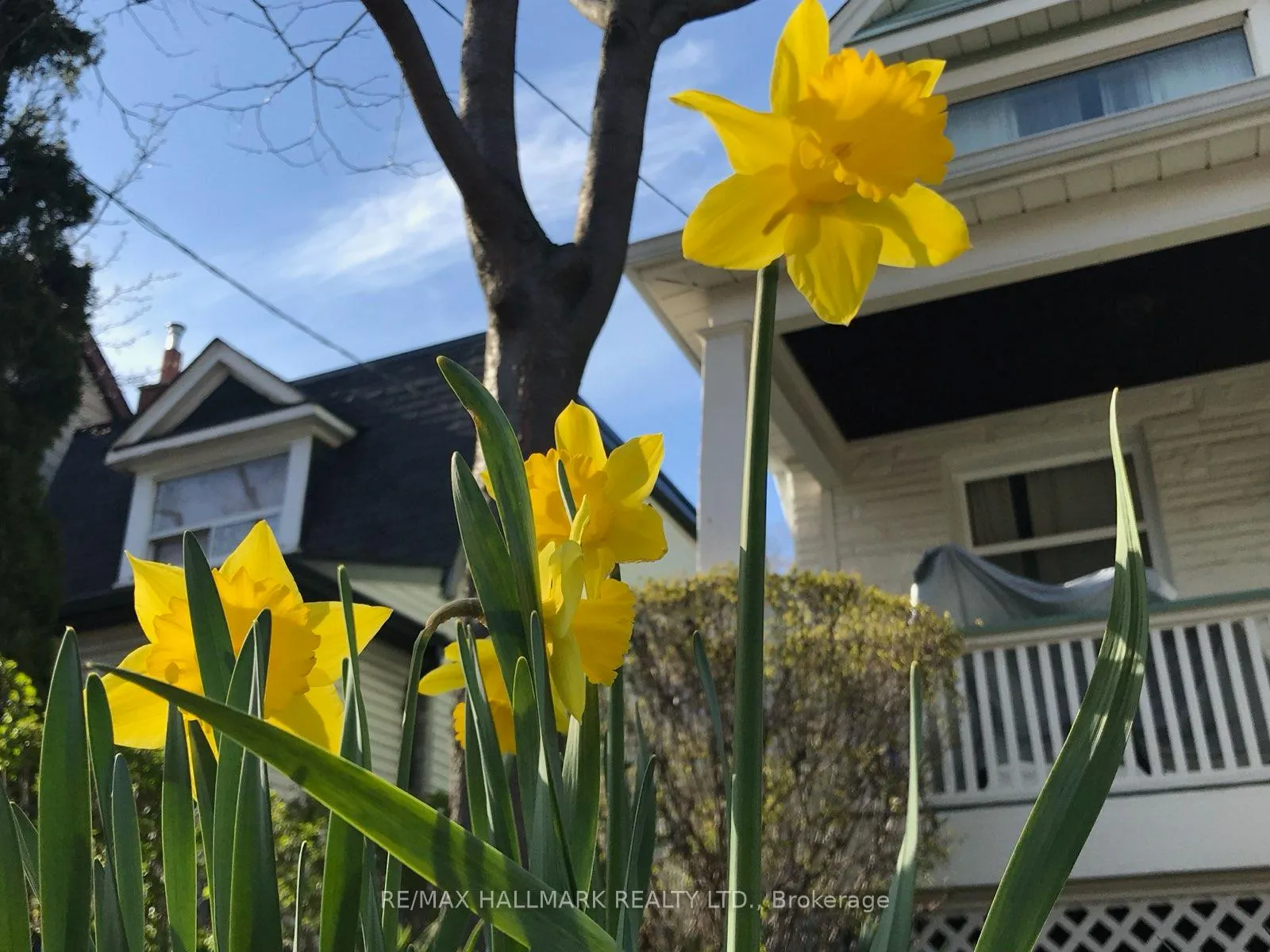 Photo 19 of 16 Dawson Avenue, Toronto, Blake-Jones — HOMEH