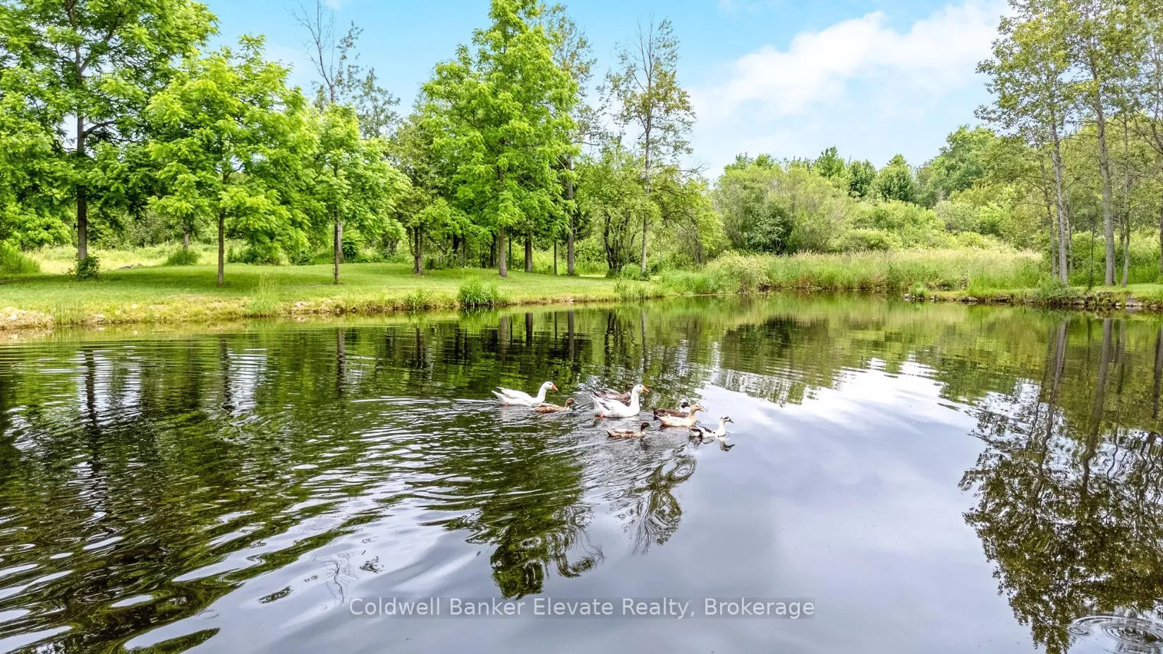 Photo 47 of 11425 Second Line Nassagaweya, Milton, Rural Milton West — HOMEH