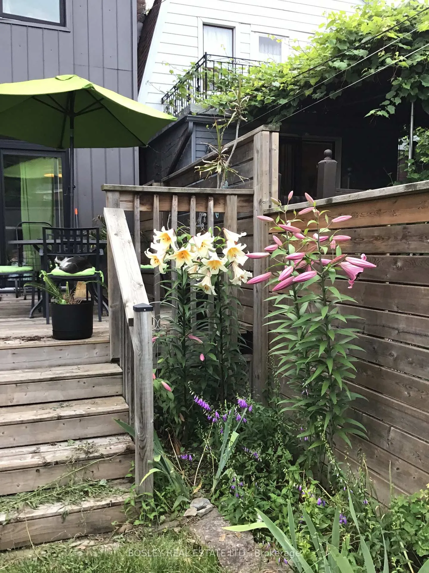 Photo 18 of 43 Chester Avenue, Toronto, Playter Estates-Danforth — HOMEH