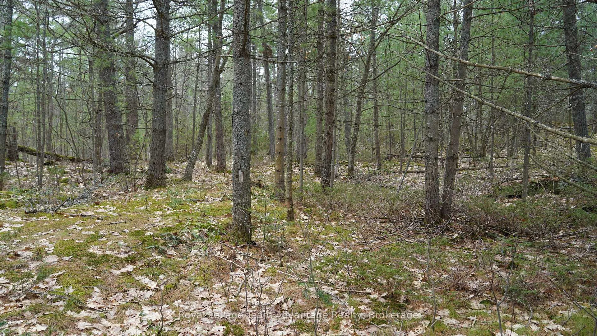 Photo 5 of Lagoon Drive, The Archipelago, Archipelago North — HOMEH