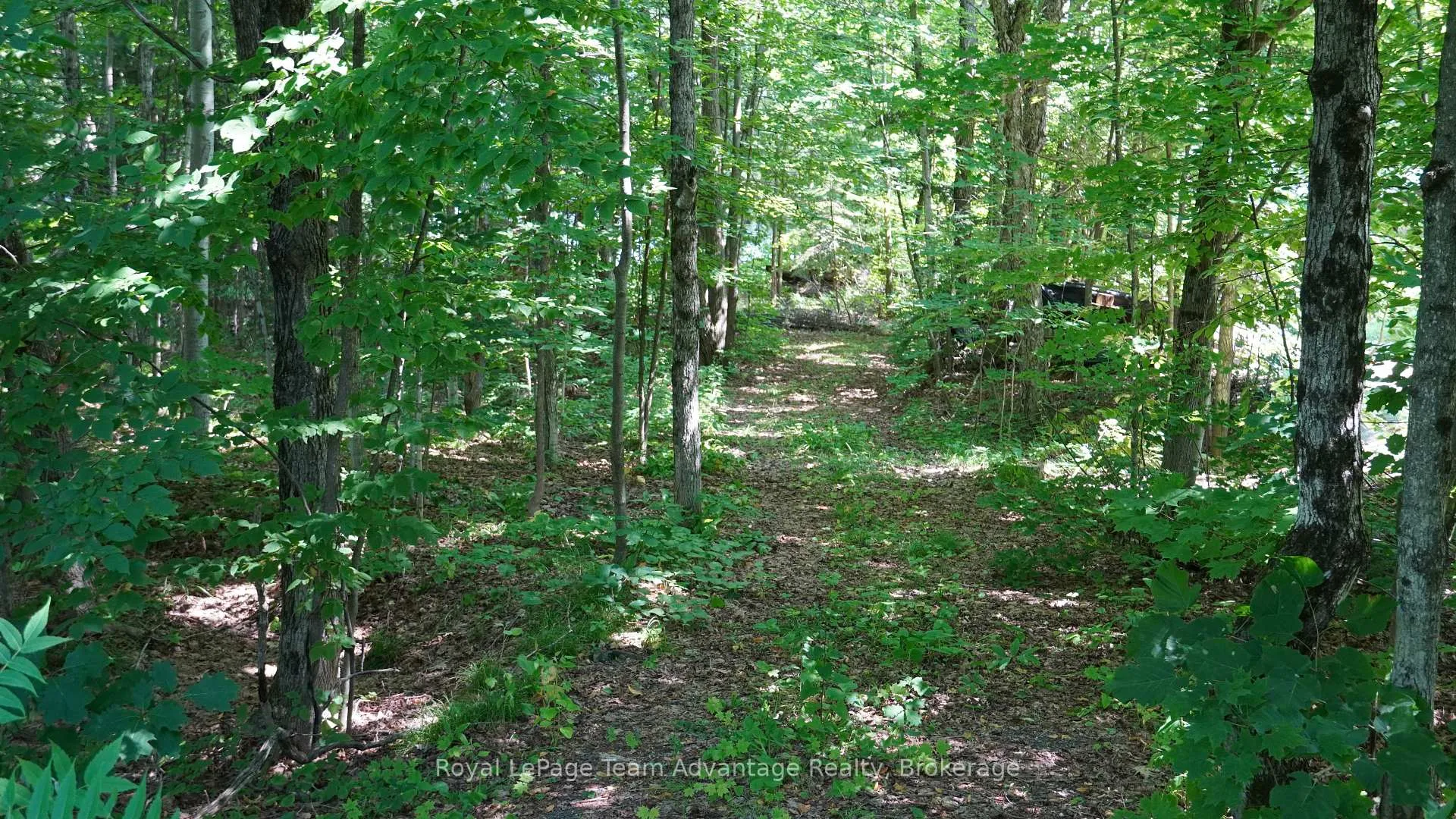 Photo 5 of 25 Peninsula Shore Road E, McDougall — HOMEH