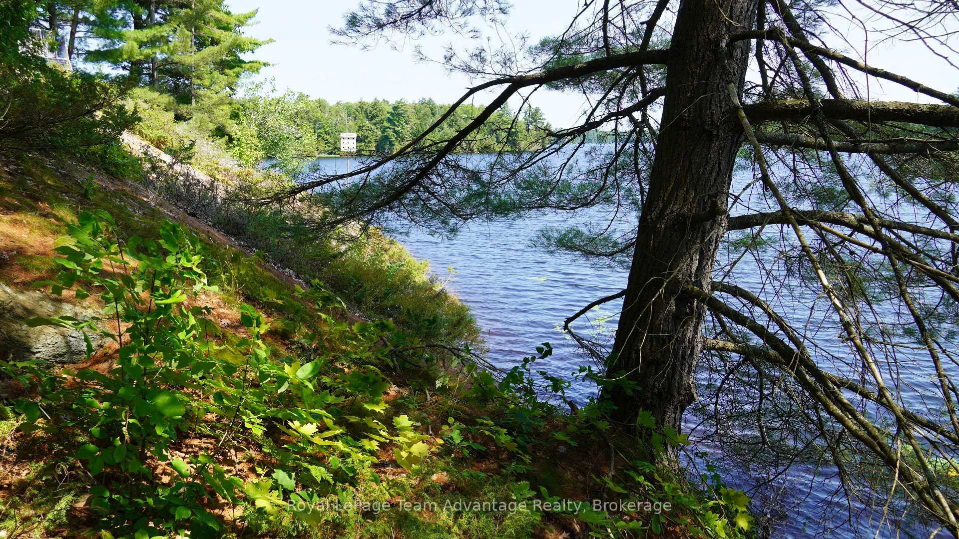 Photo 10 of 25 Peninsula Shore Road E, McDougall — HOMEH