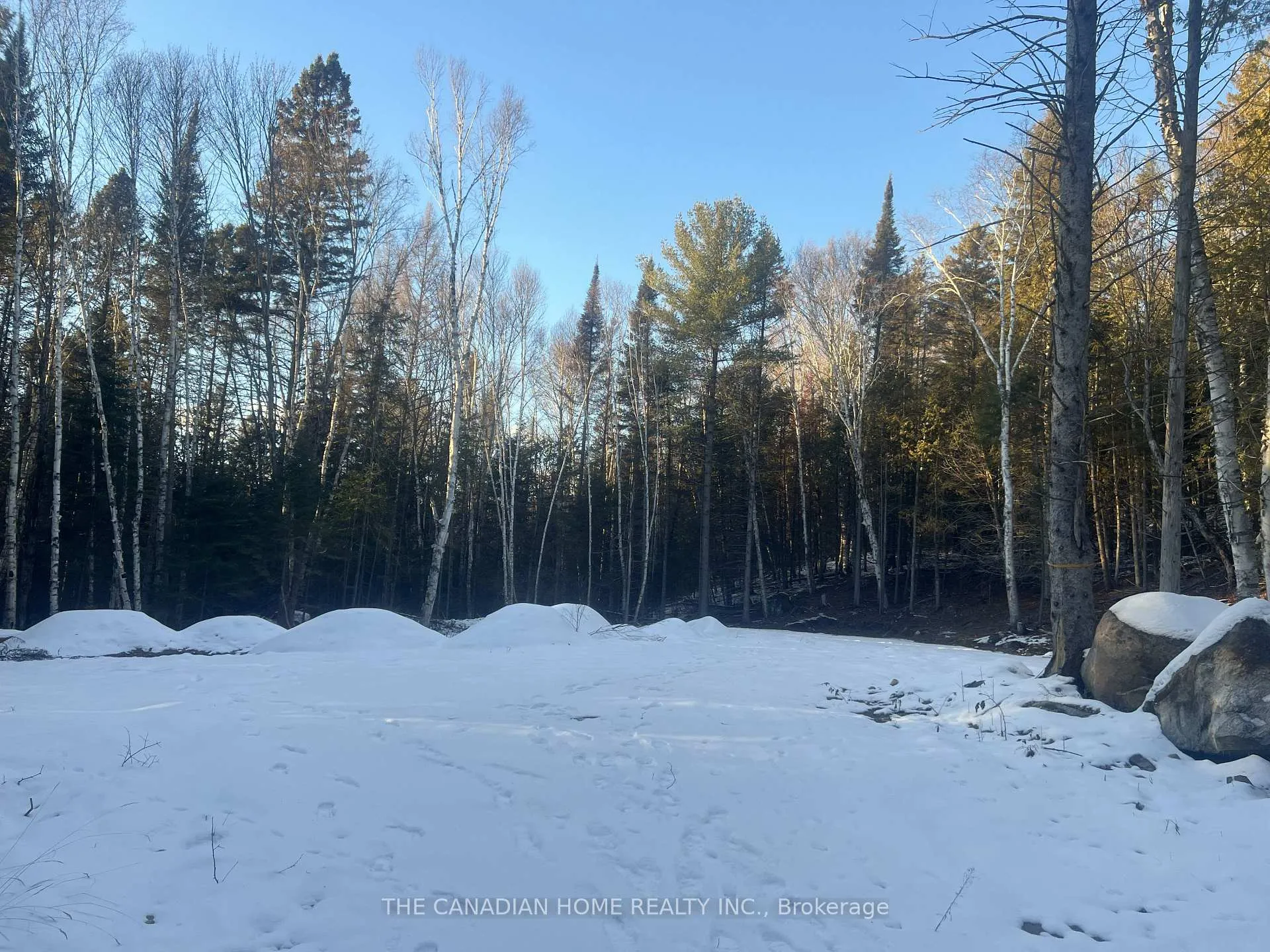 Photo 6 of 83 Lawson Road, Kearney — HOMEH