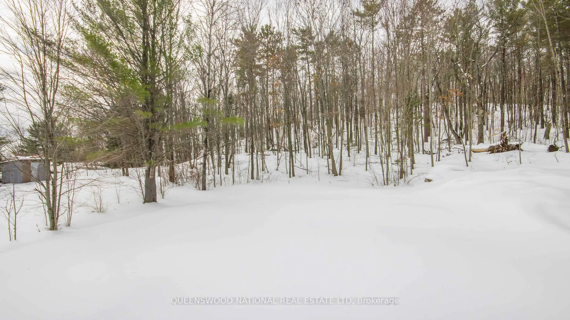 Photo 37 of 99 Inglis Street, Madawaska Valley, Madawaska Valley — HOMEH