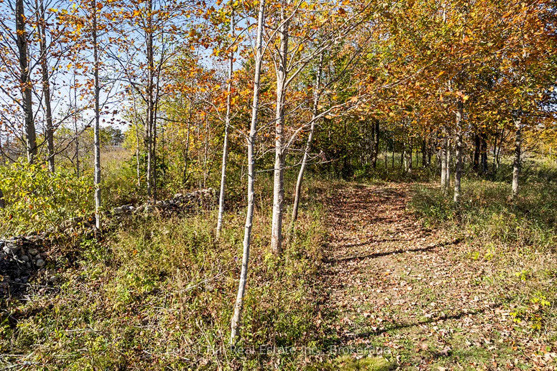 Photo 46 of 240 Lookout Drive, West Grey — HOMEH