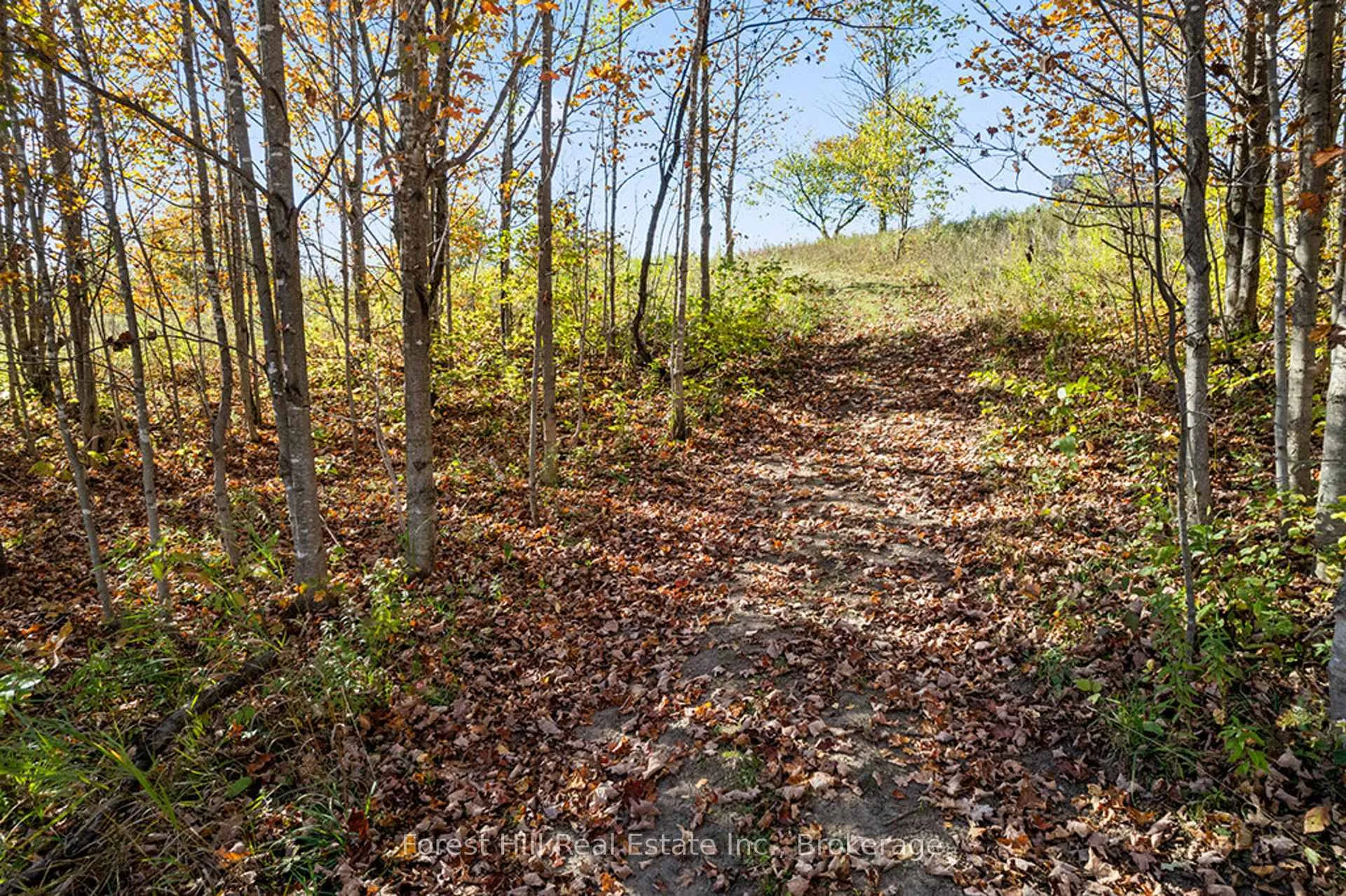 Photo 47 of 240 Lookout Drive, West Grey — HOMEH