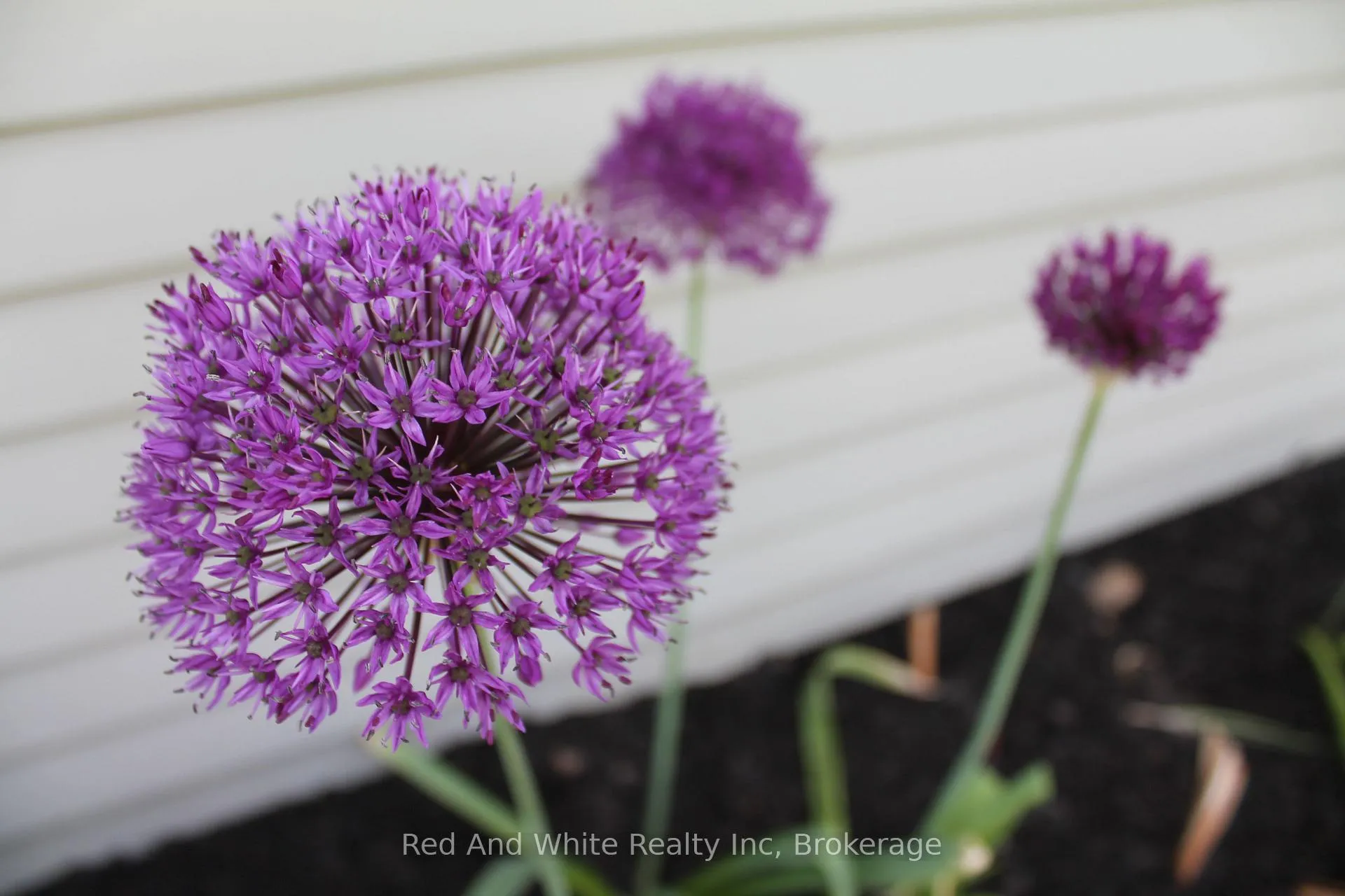 Photo 39 of 449 Greenfield Avenue, Kitchener — HOMEH