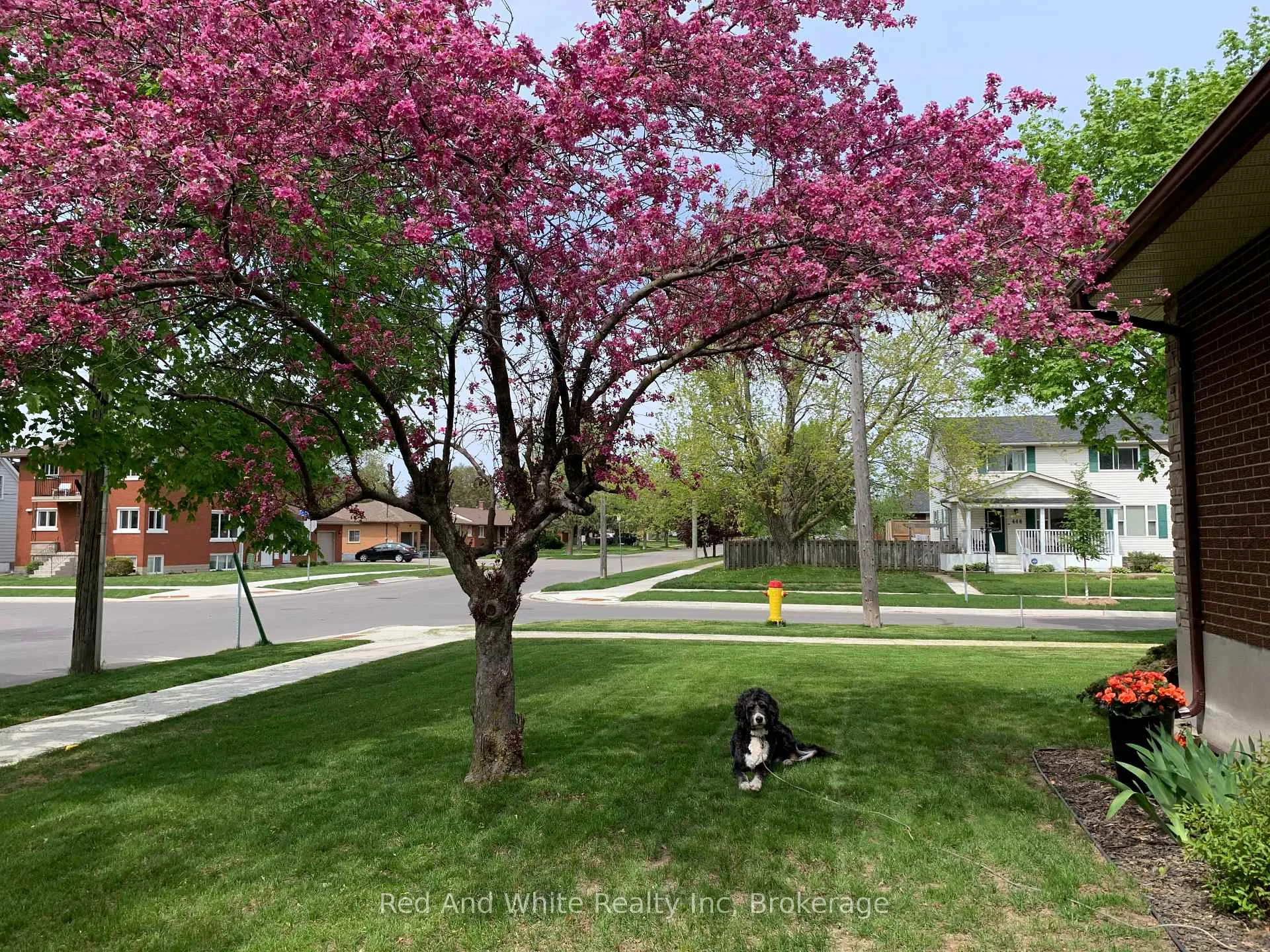 Photo 42 of 449 Greenfield Avenue, Kitchener — HOMEH