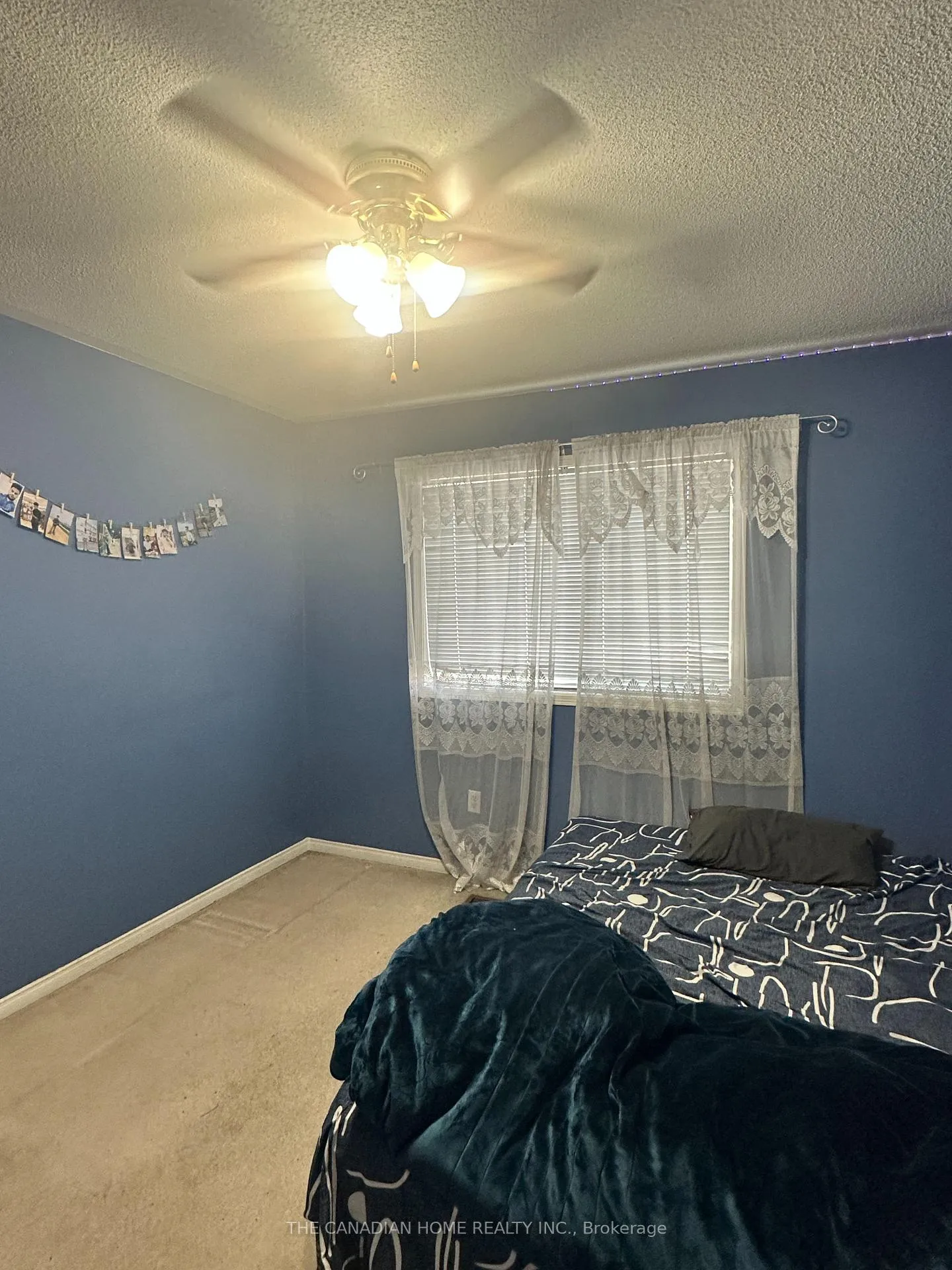 Photo 8 of 49 Larkspur Road, Brampton, Sandringham-Wellington — HOMEH