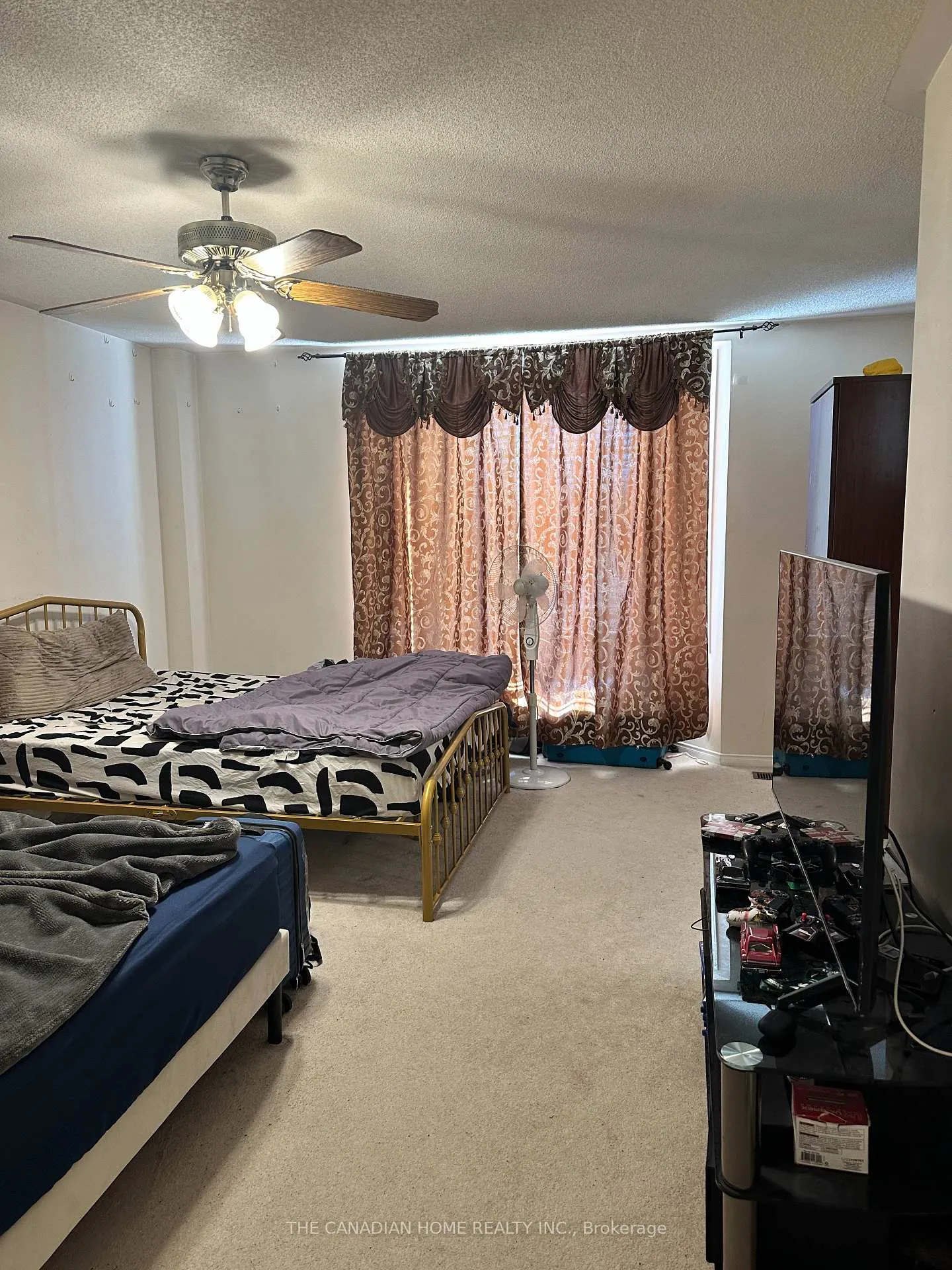 Photo 10 of 49 Larkspur Road, Brampton, Sandringham-Wellington — HOMEH