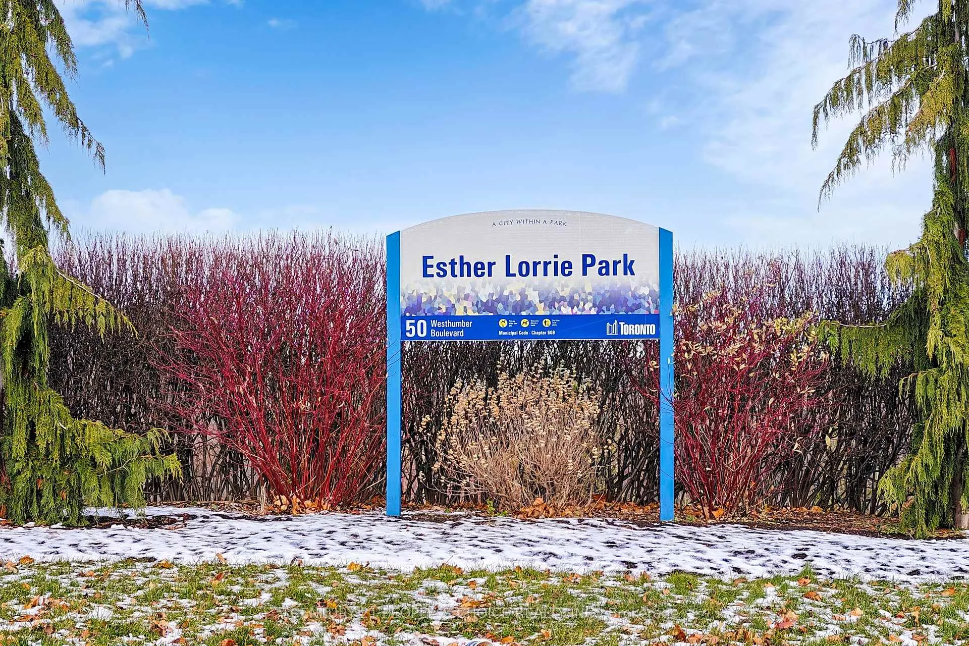 Photo 44 of 35 Westhumber Boulevard, Etobicoke, West Humber-Clairville — HOMEH