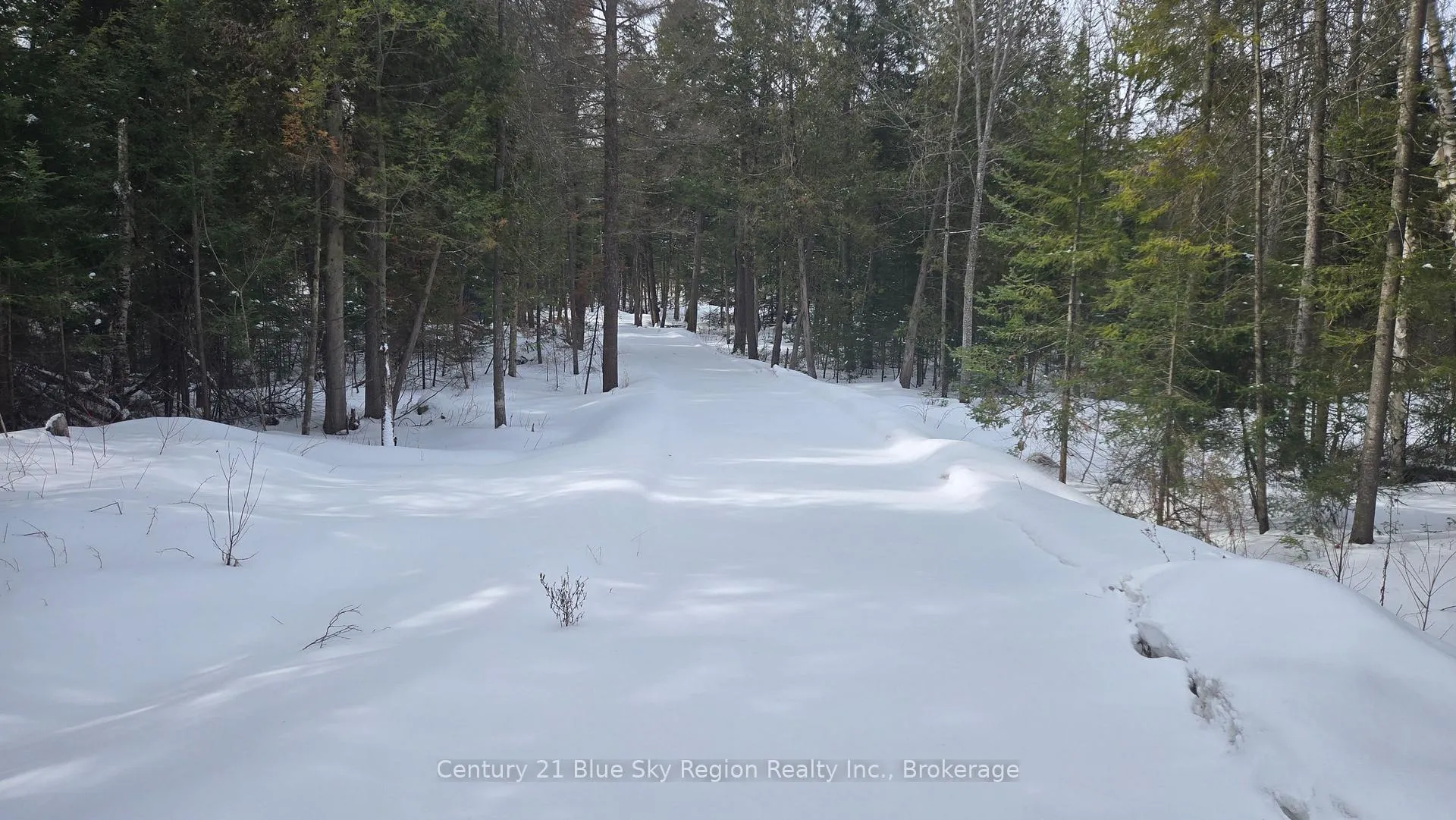 Photo 2 of 97 Maple Road, Chisholm — HOMEH