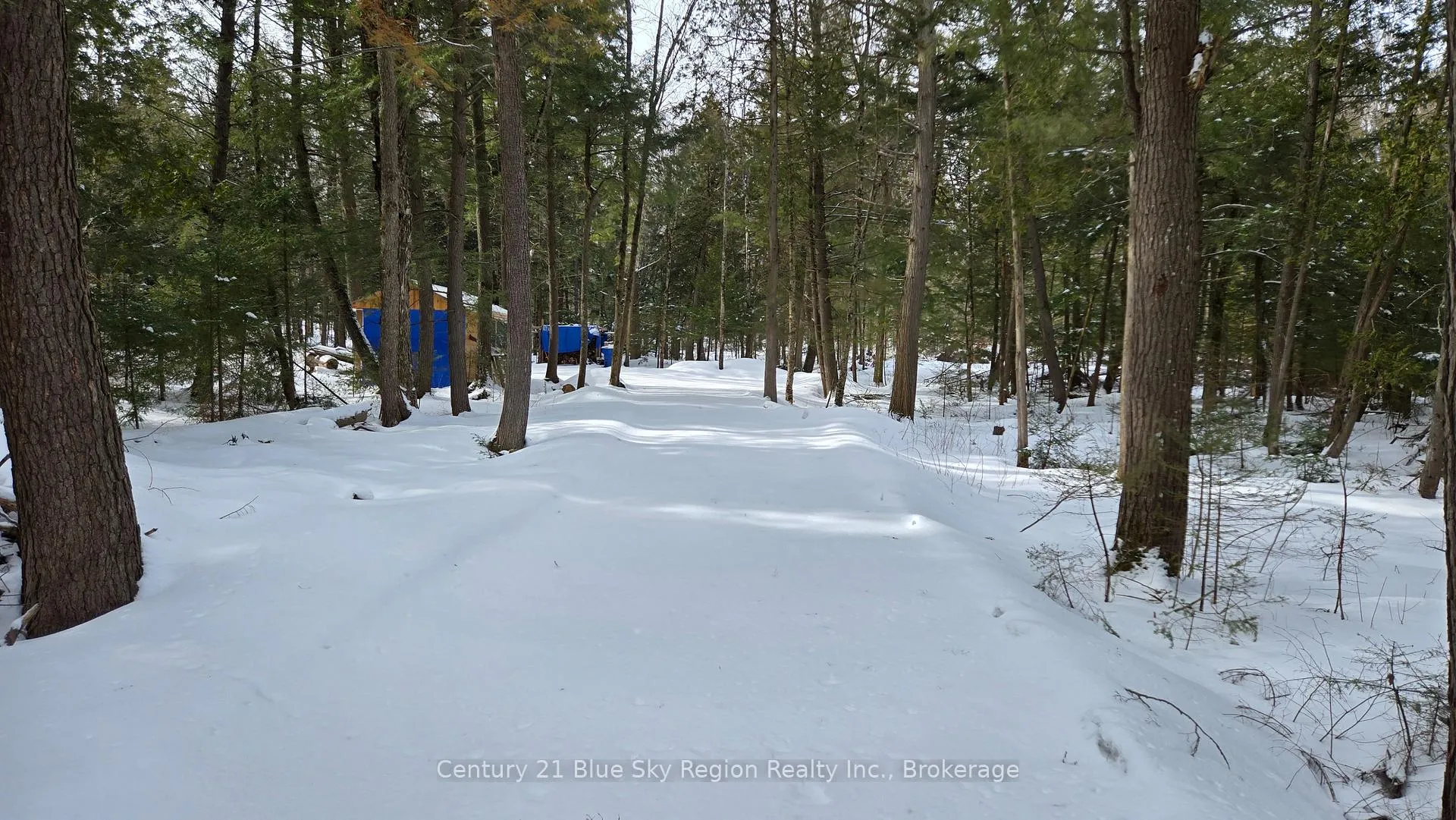 Photo 3 of 97 Maple Road, Chisholm — HOMEH