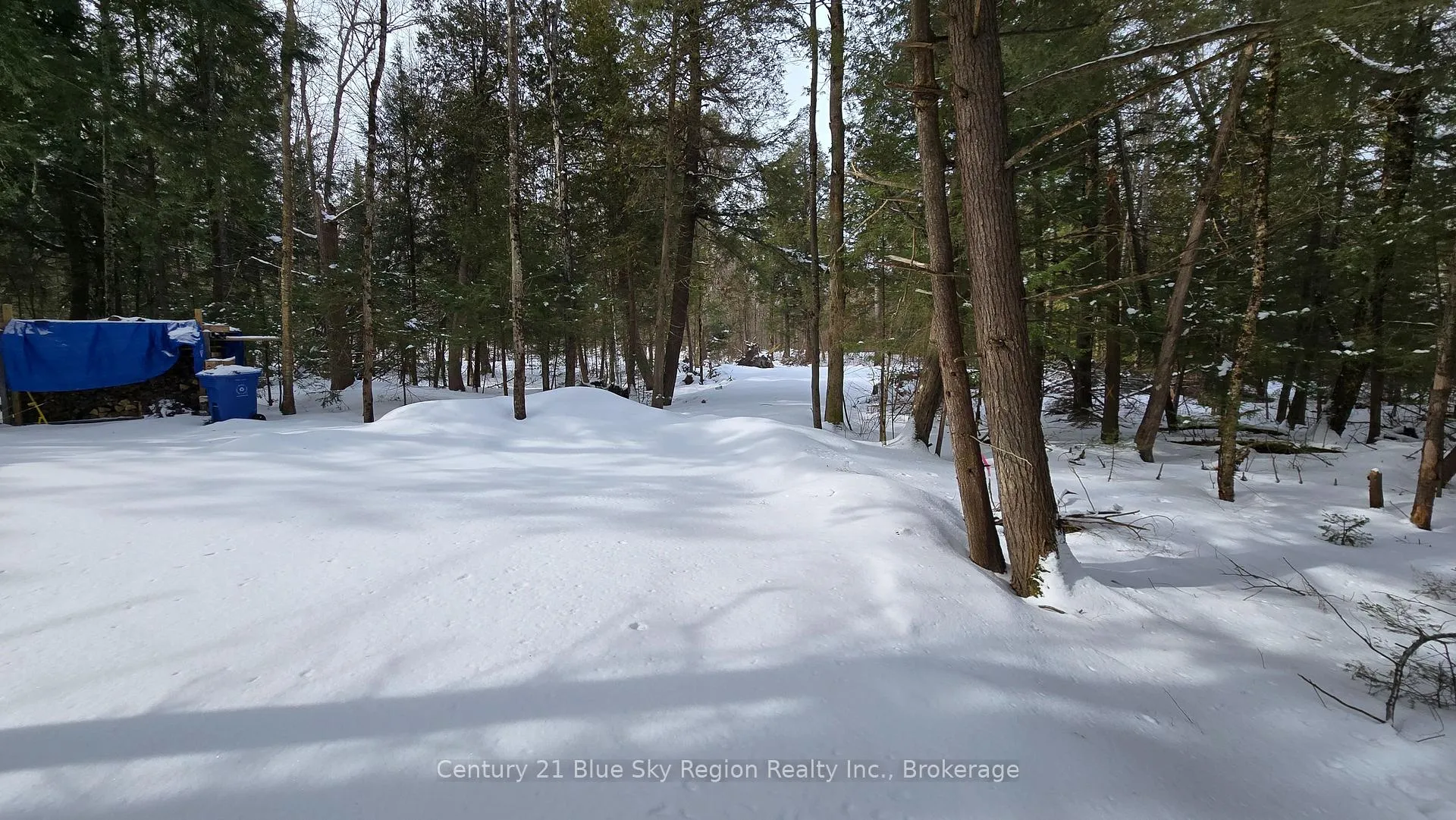 Photo 6 of 97 Maple Road, Chisholm — HOMEH