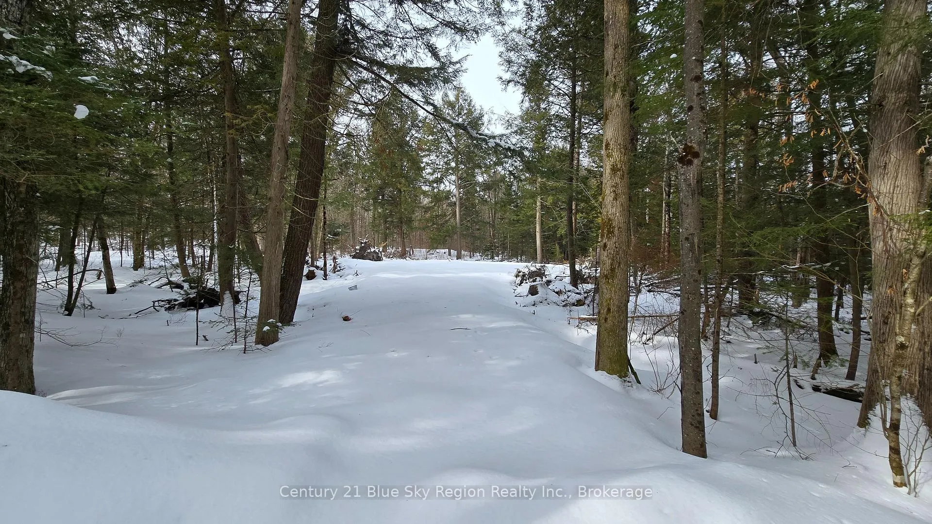 Photo 7 of 97 Maple Road, Chisholm — HOMEH
