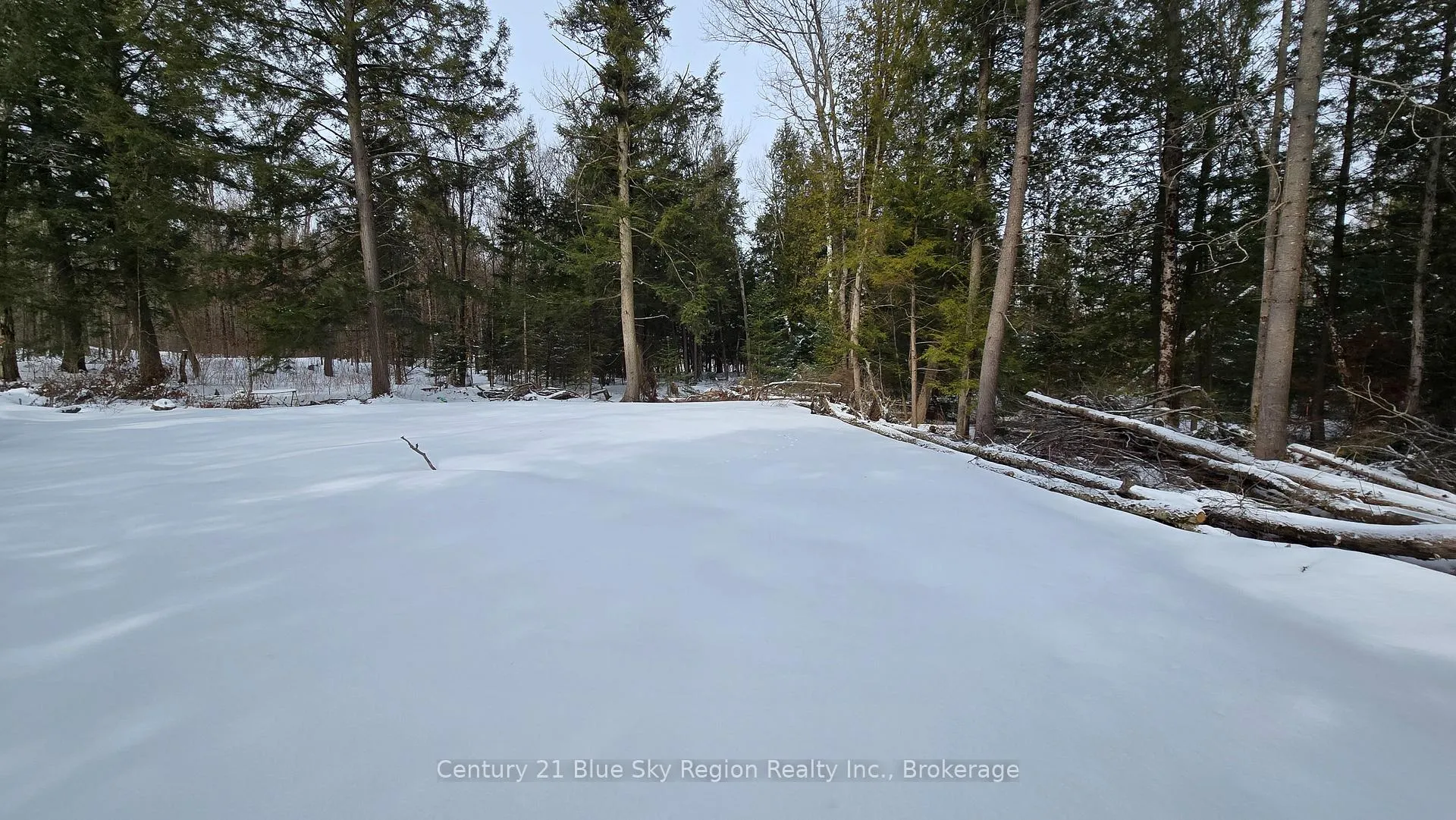 Photo 8 of 97 Maple Road, Chisholm — HOMEH